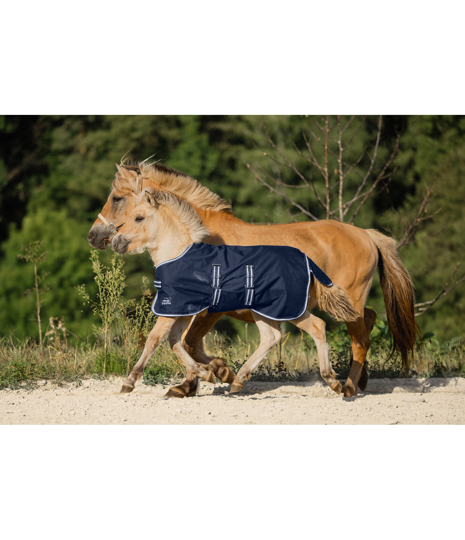 Coperta outdoor per puledri e Shetland Kubi, 0 g