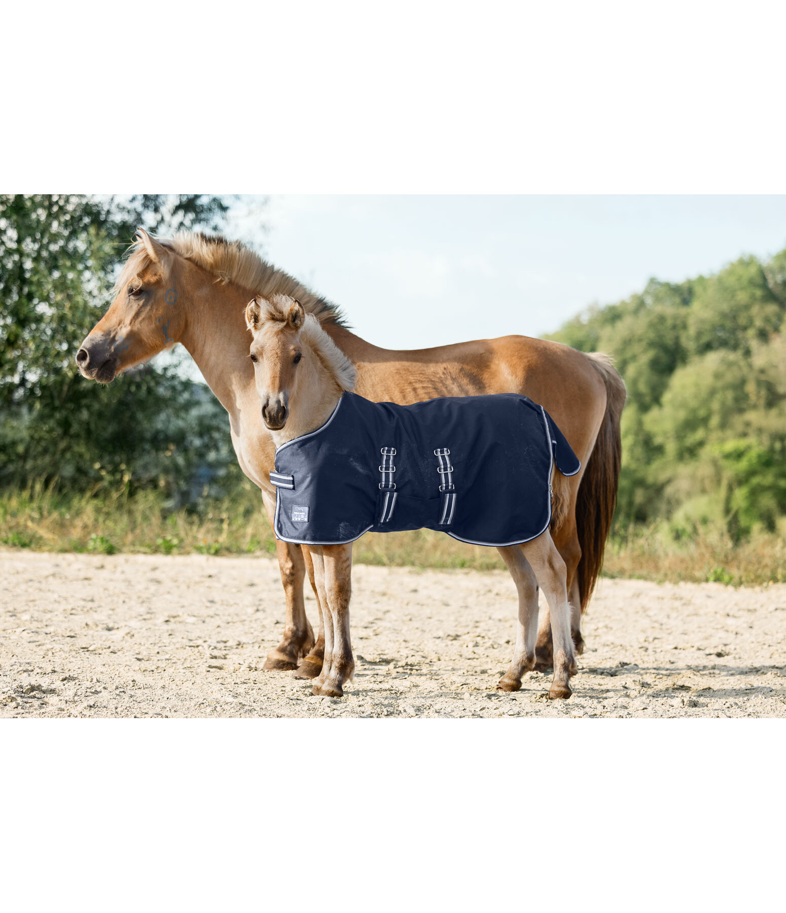 Coperta outdoor per puledri e Shetland Kubi, 0 g