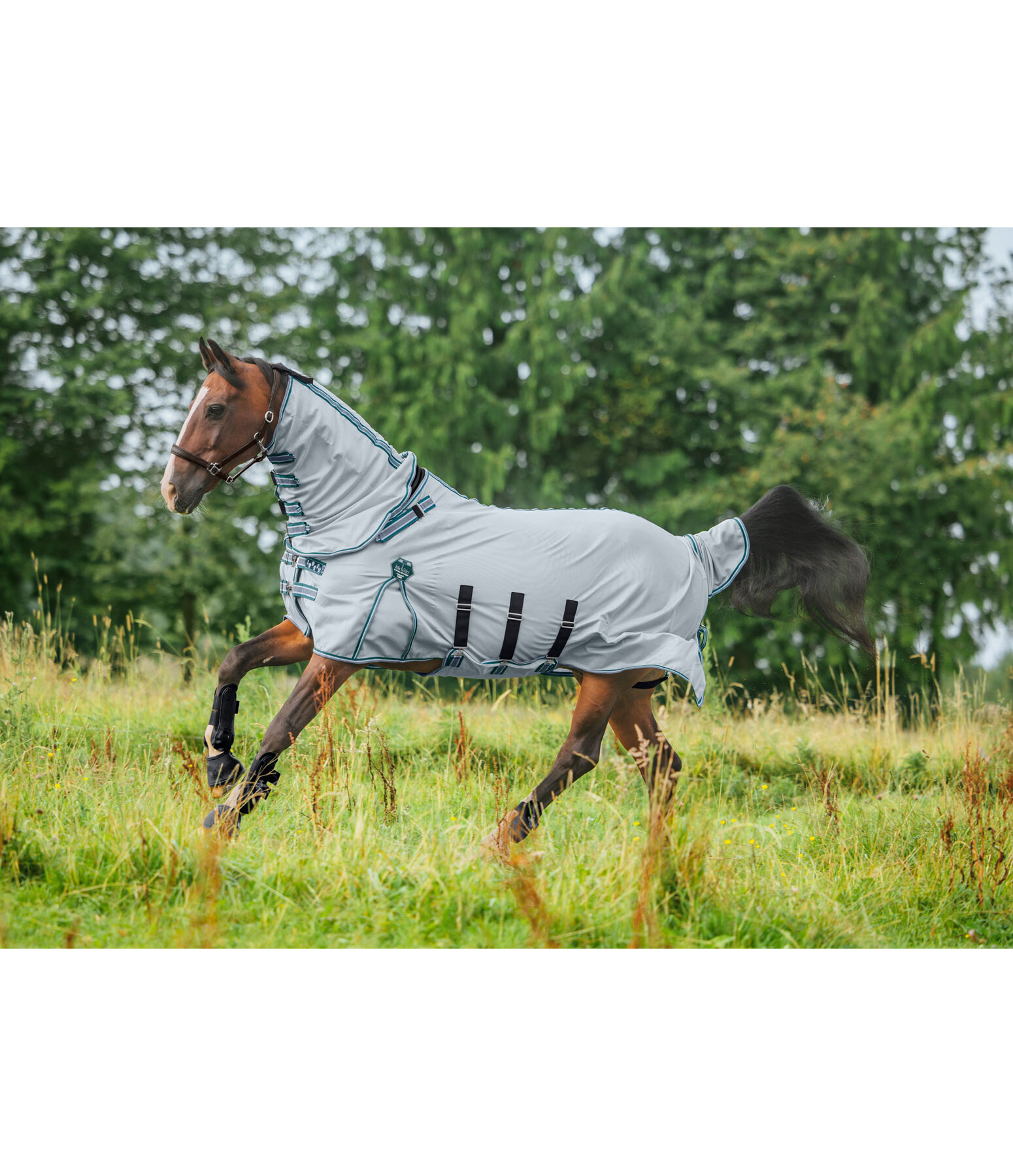 Coperta antimosche fullneck Karoo