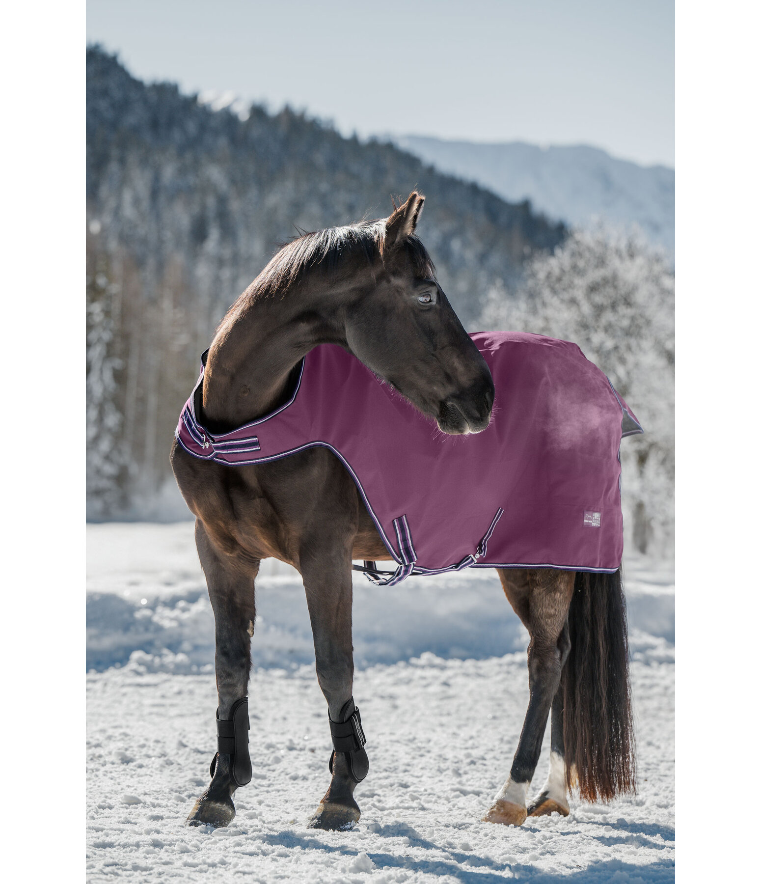 Coperta da giostra outdoor Kasimo II, 0 g