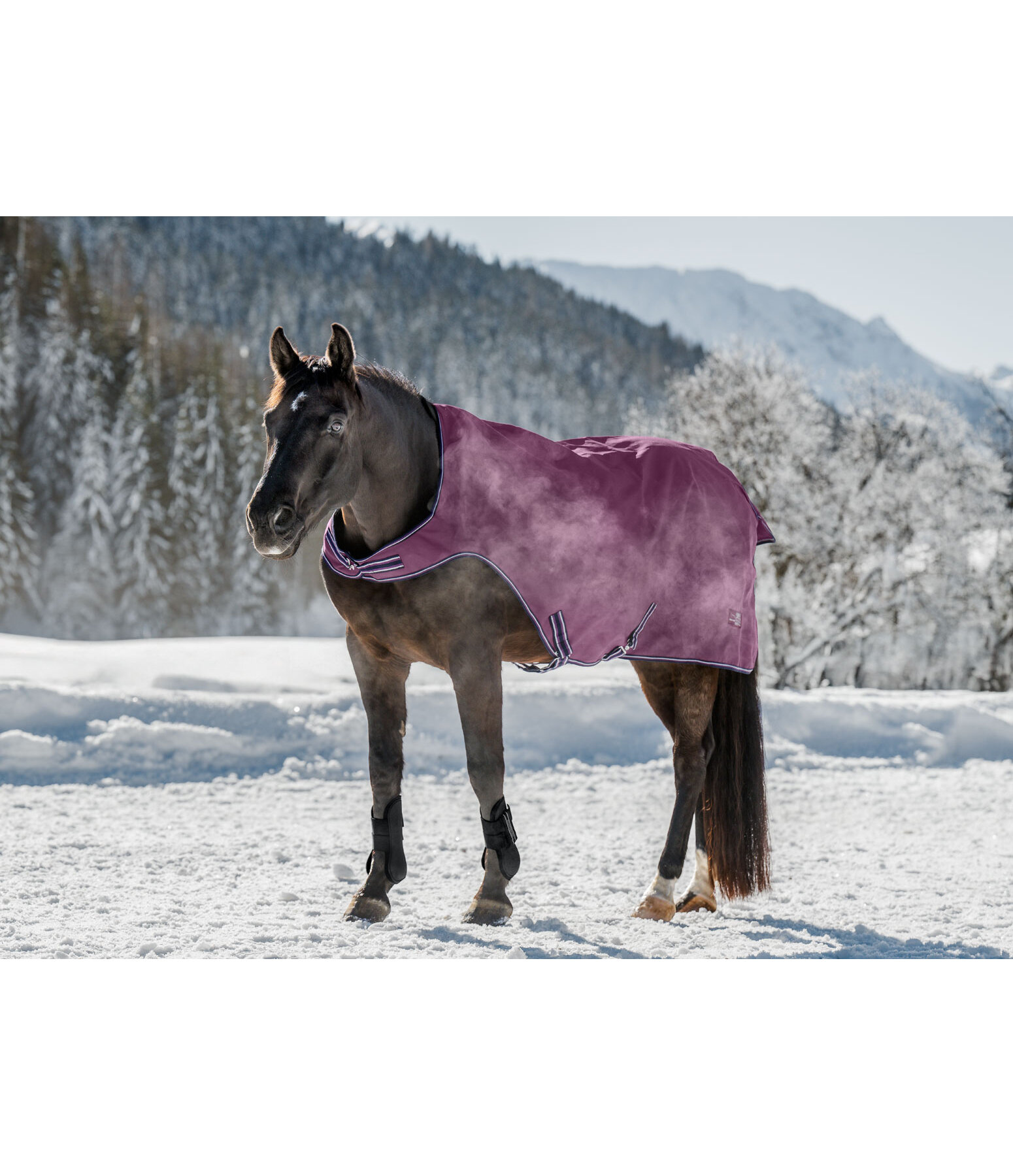 Coperta da giostra outdoor Kasimo II, 0 g