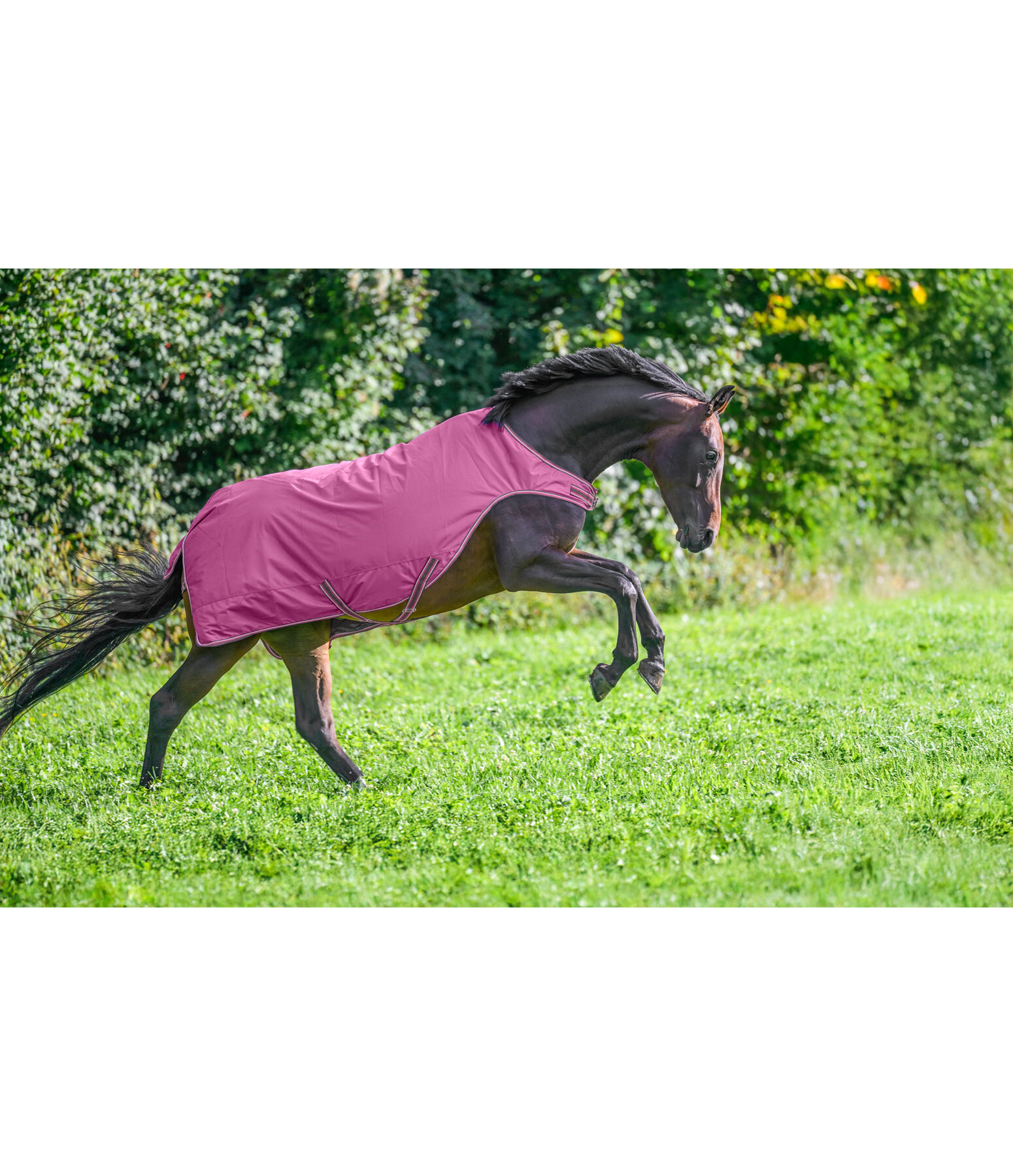 Coperta da giostra outdoor Kasimo II, 0 g