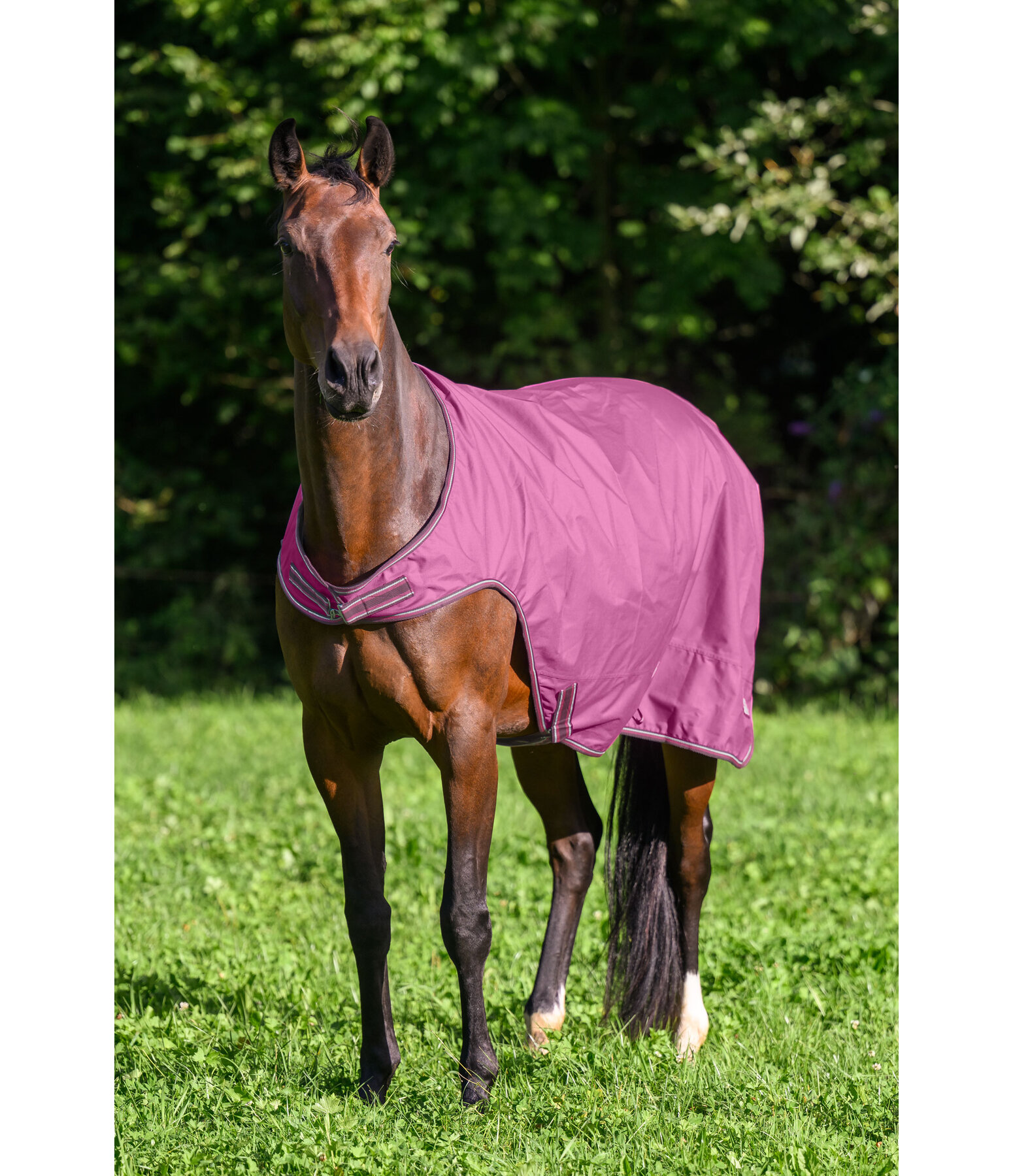 Coperta da giostra outdoor Kasimo II, 0 g