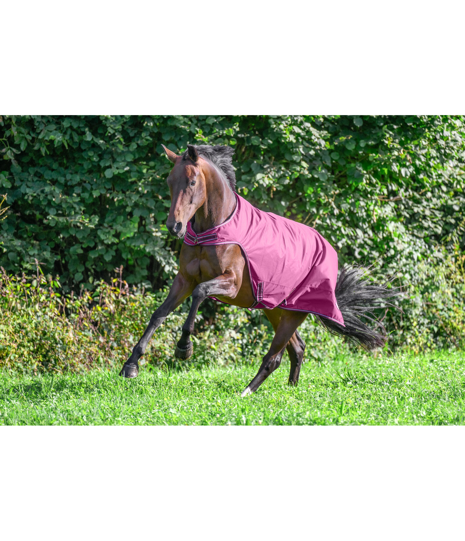 Coperta da giostra outdoor Kasimo II, 0 g