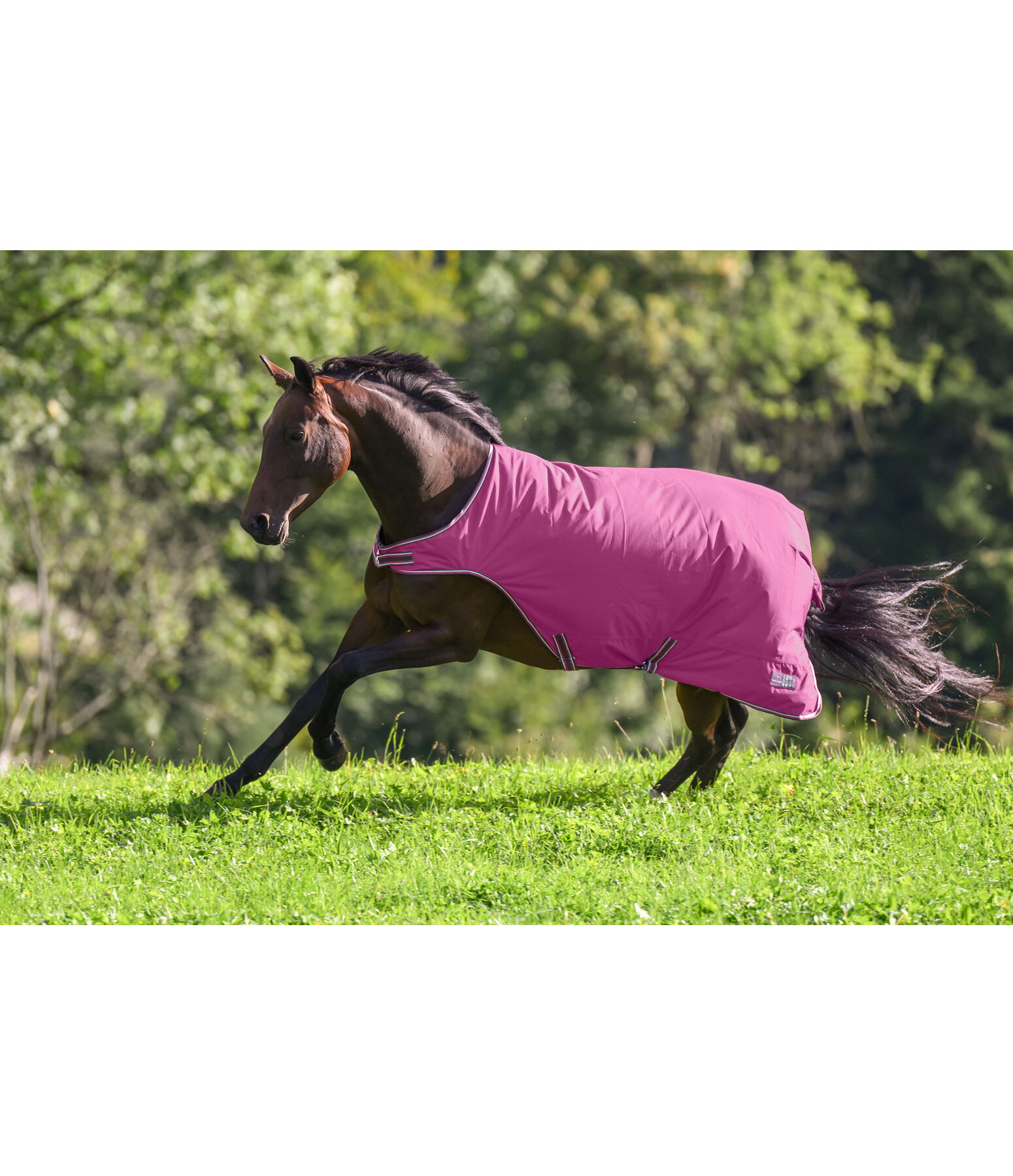 Coperta da giostra outdoor Kasimo II, 0 g