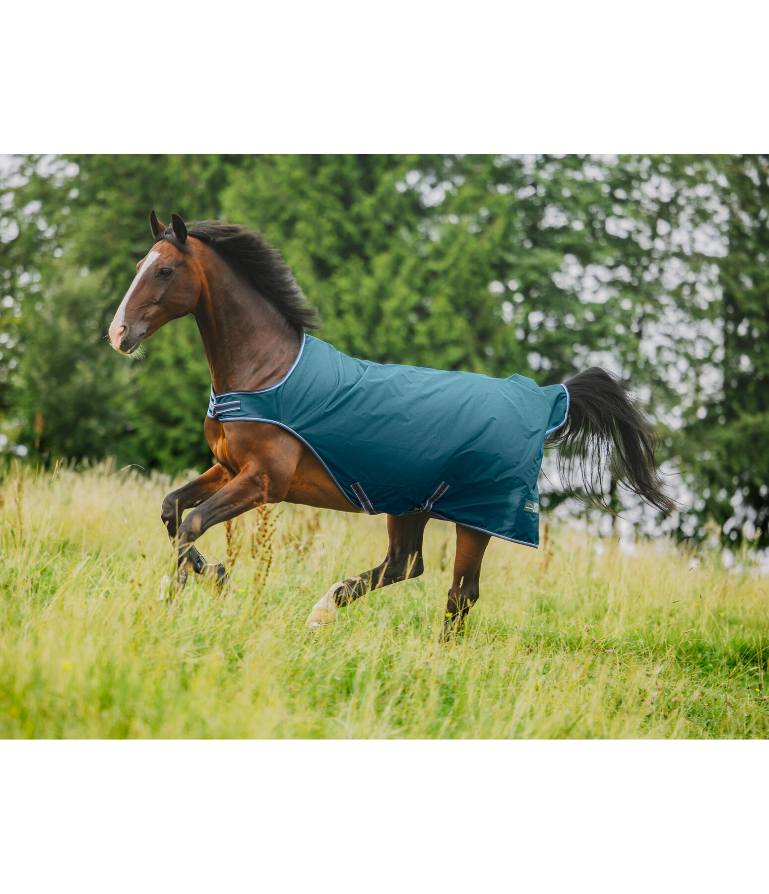 Coperta da giostra outdoor Kasimo II, 0 g
