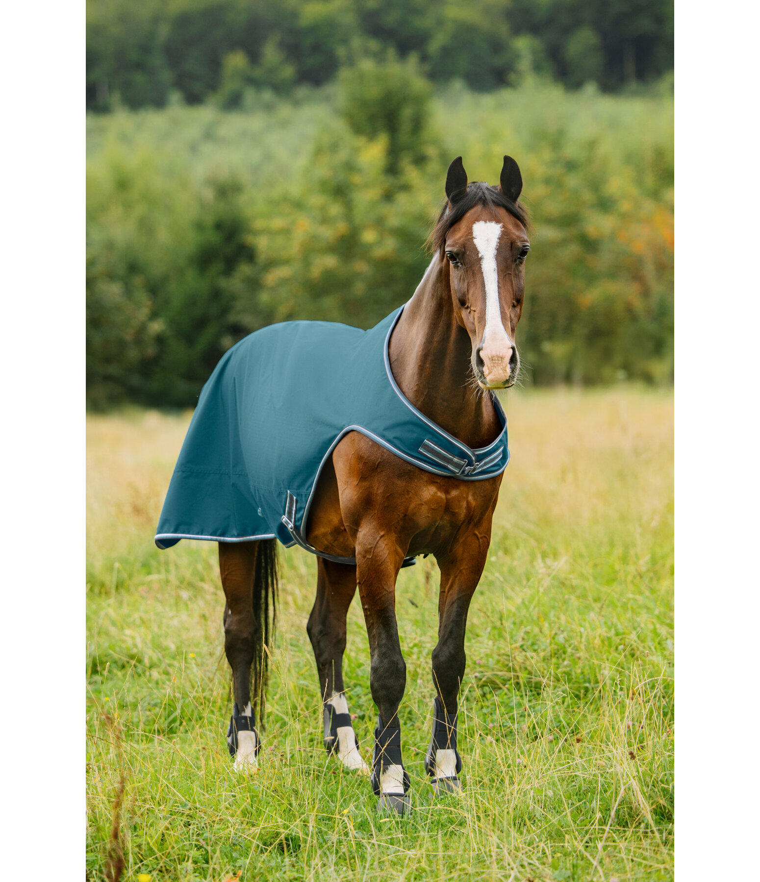 Coperta da giostra outdoor Kasimo II, 0 g