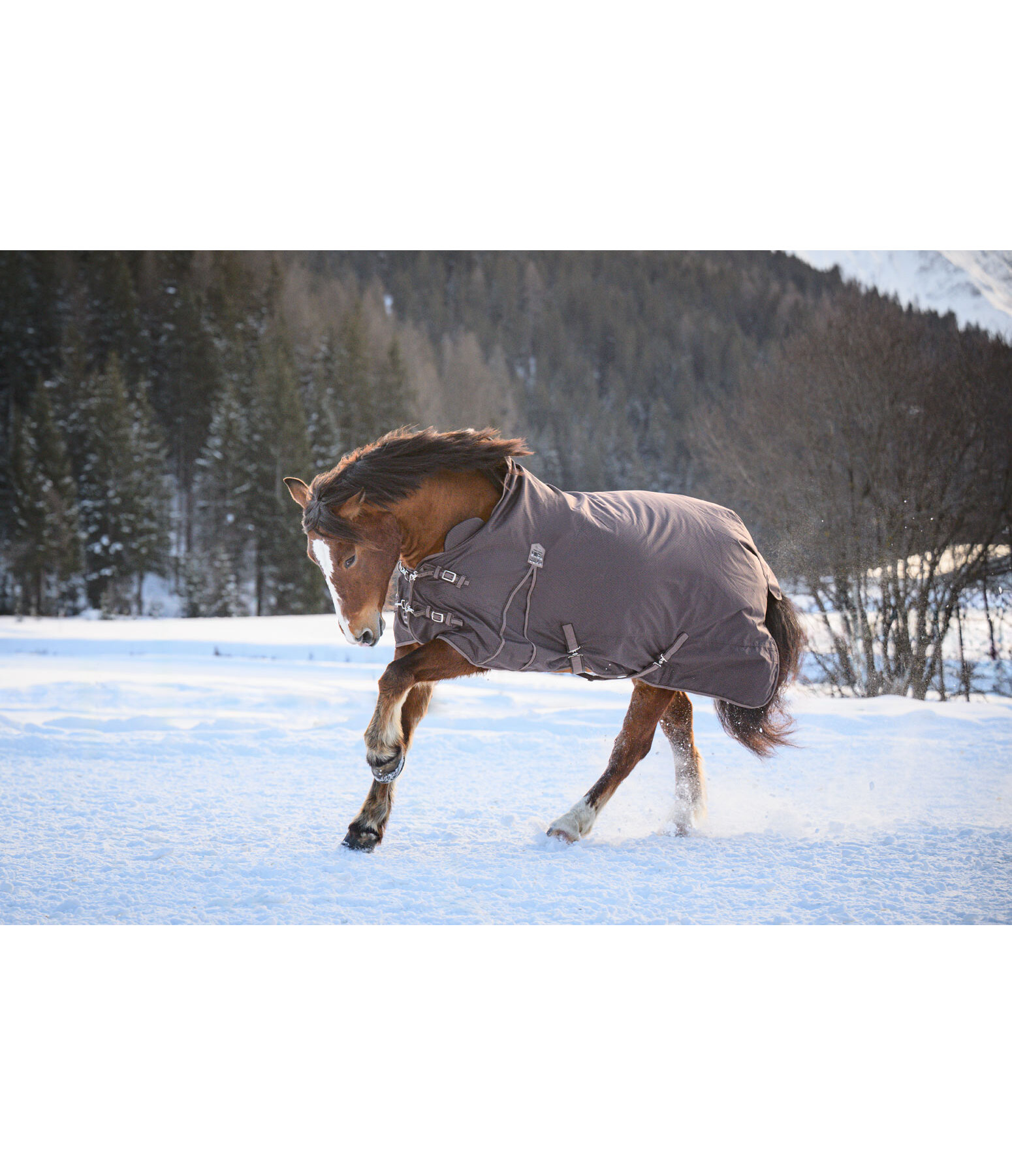 Coperta outdoor highneck Jesco II con pile, 100 g