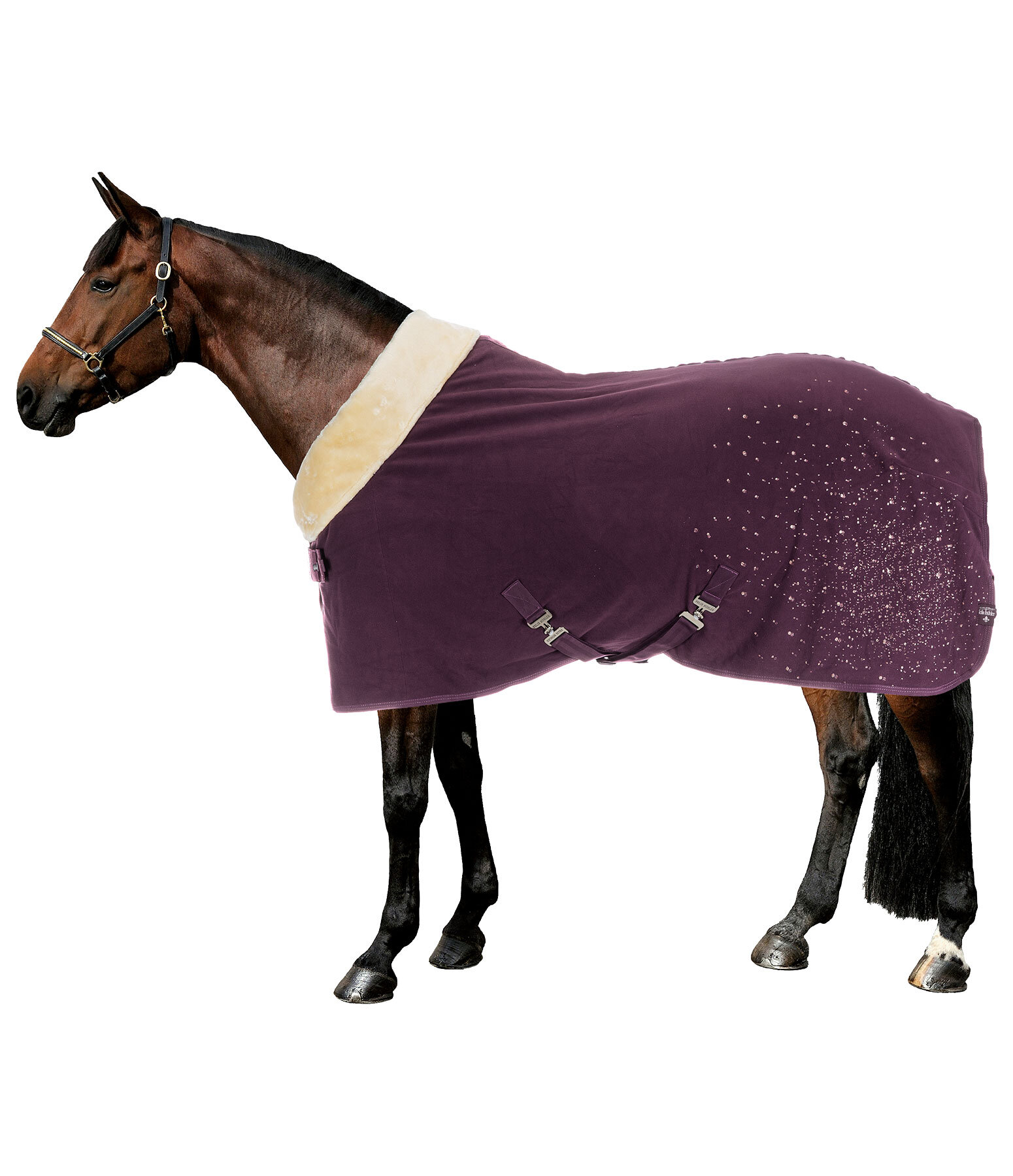 Coperta tecnica dopolavoro Sparkling II