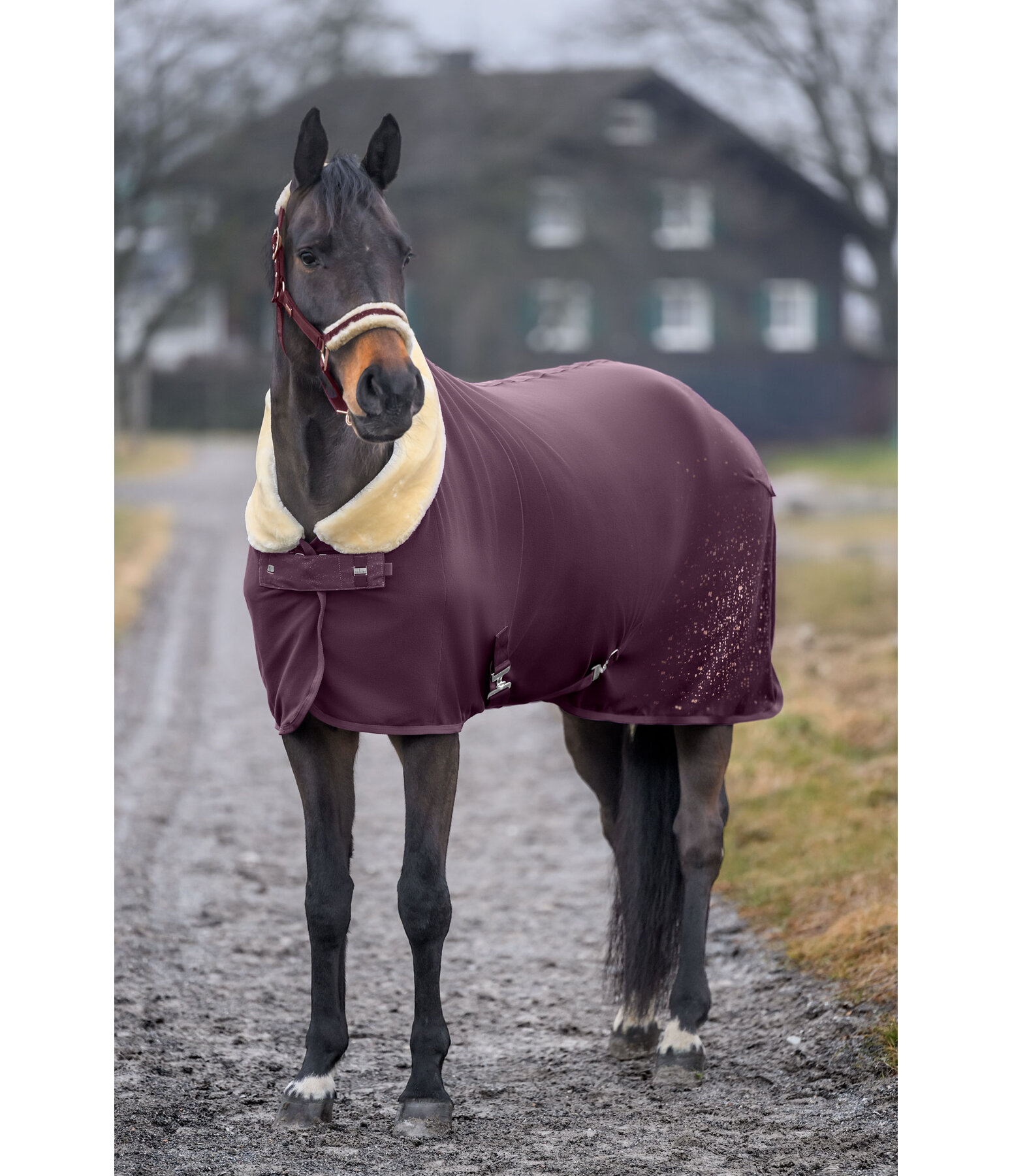 Coperta tecnica dopolavoro Sparkling II