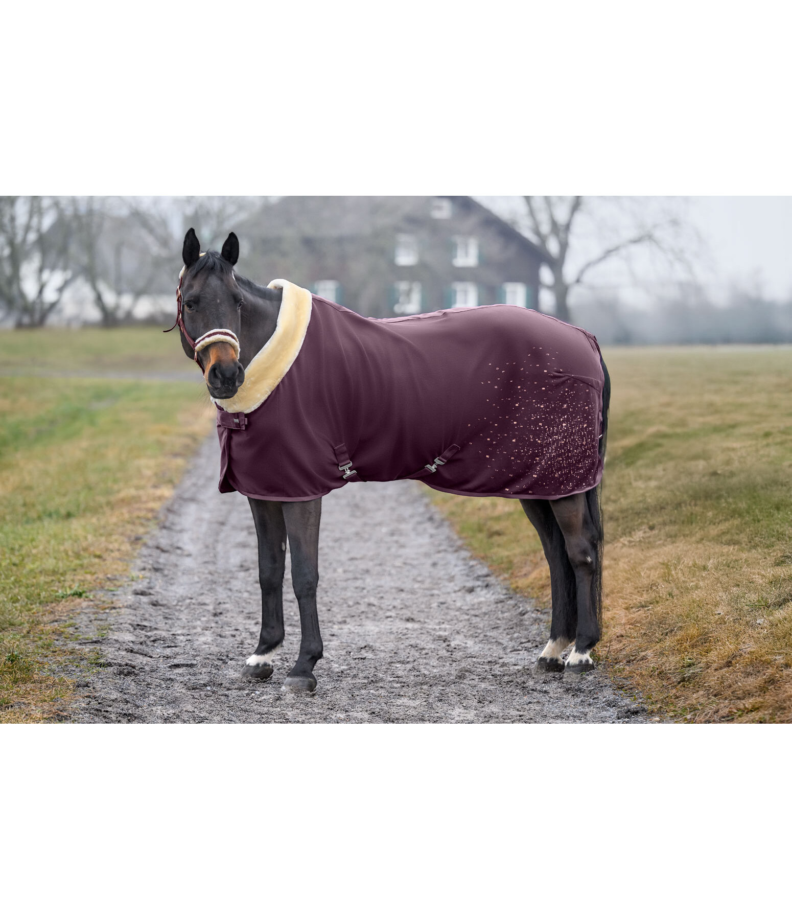 Coperta tecnica dopolavoro Sparkling II