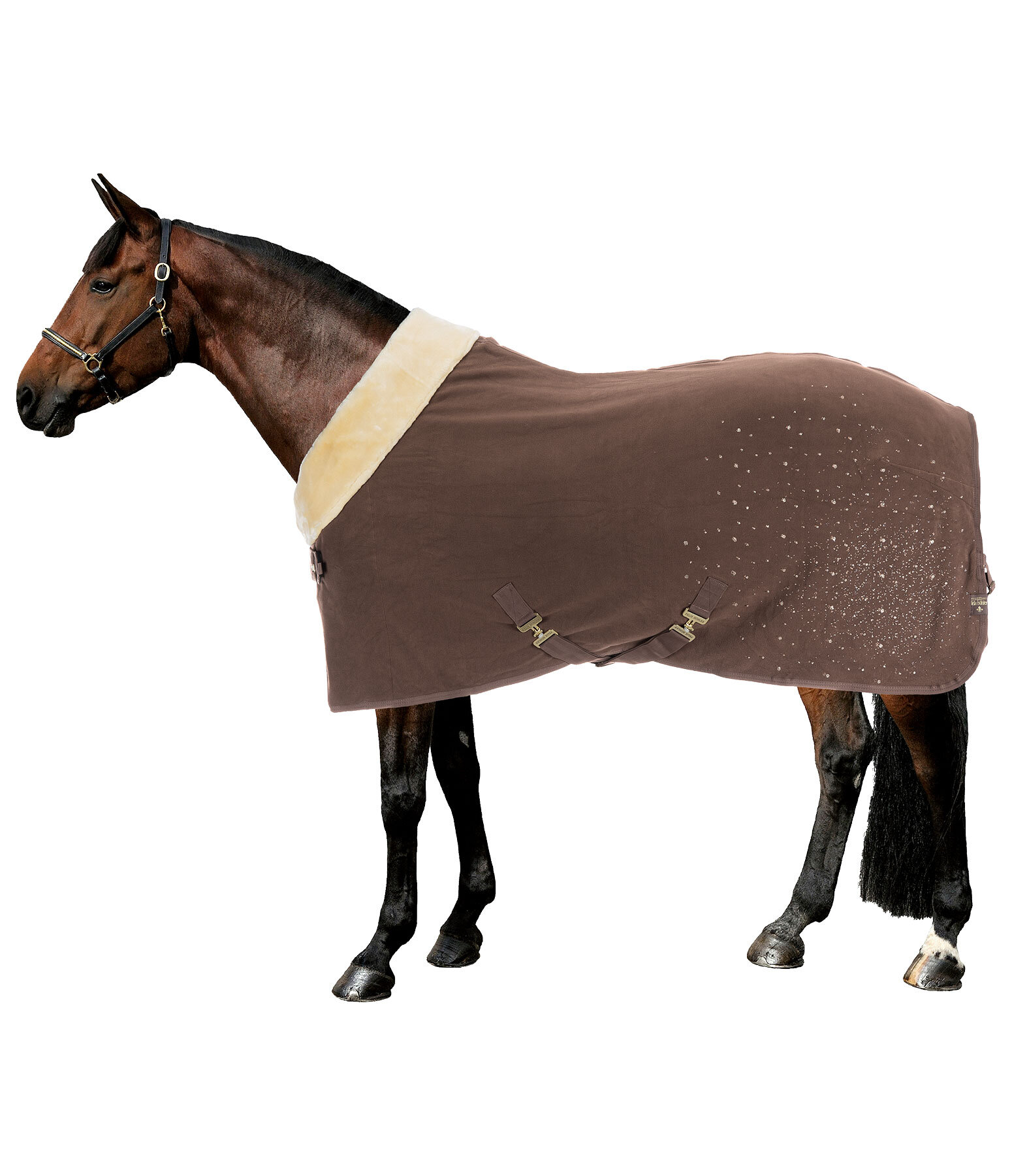 Coperta tecnica dopolavoro Sparkling II