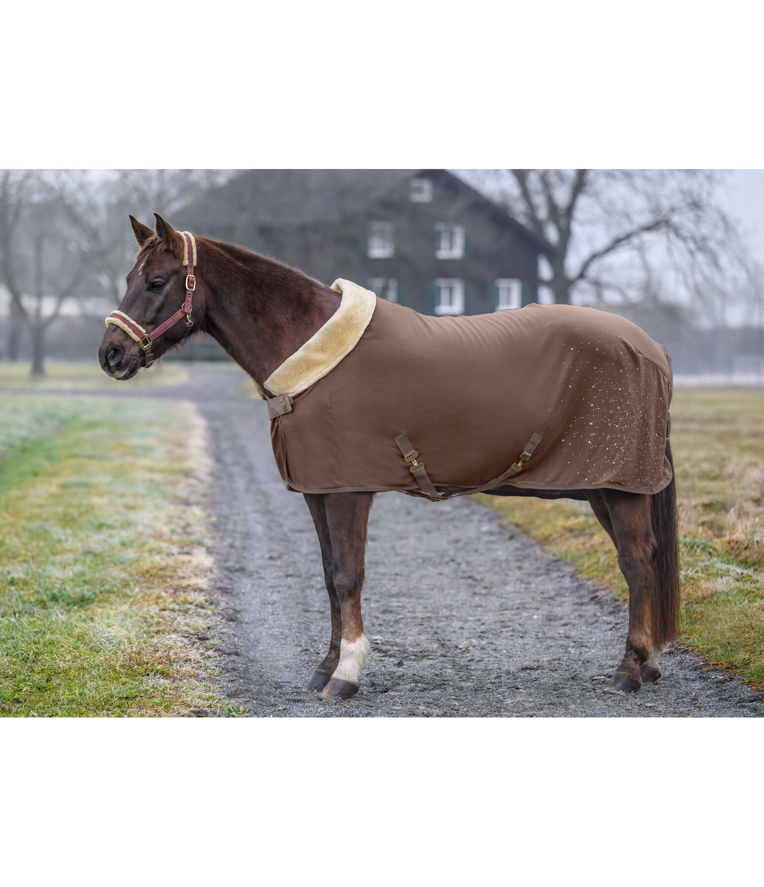 Coperta tecnica dopolavoro Sparkling II