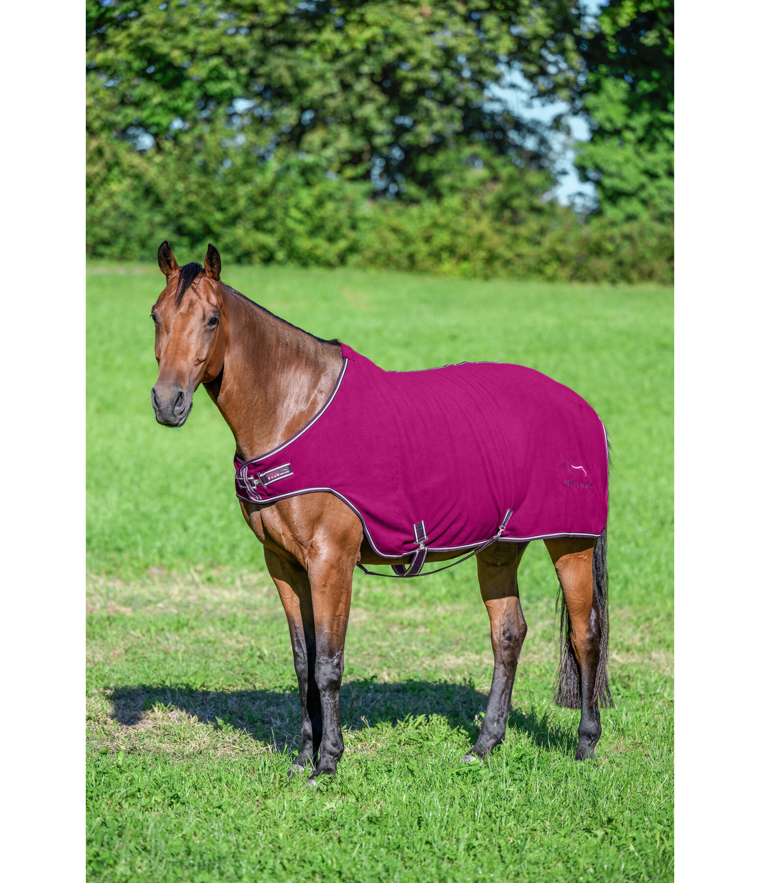 Coperta da giostra in pile Activity