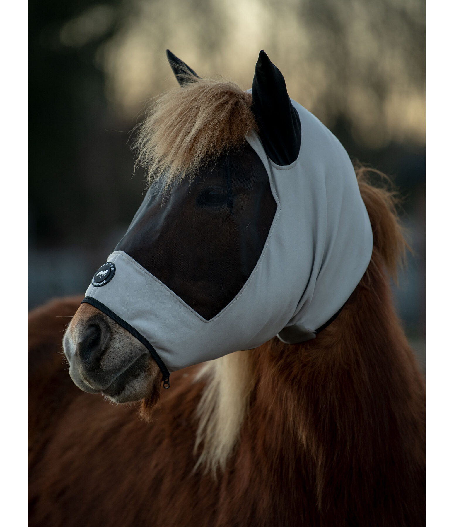 Maschera anti-eczema per cavalli islandesi