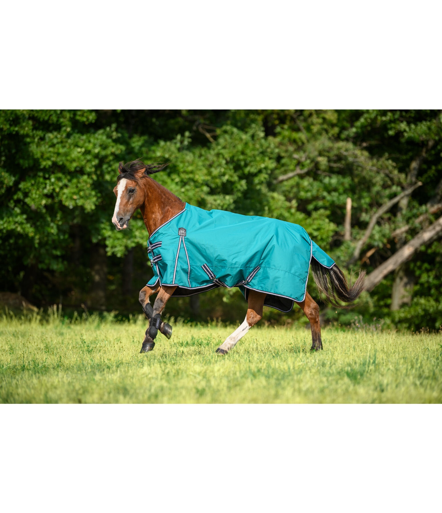 Coperta outdoor Kadir IV, 50 gr