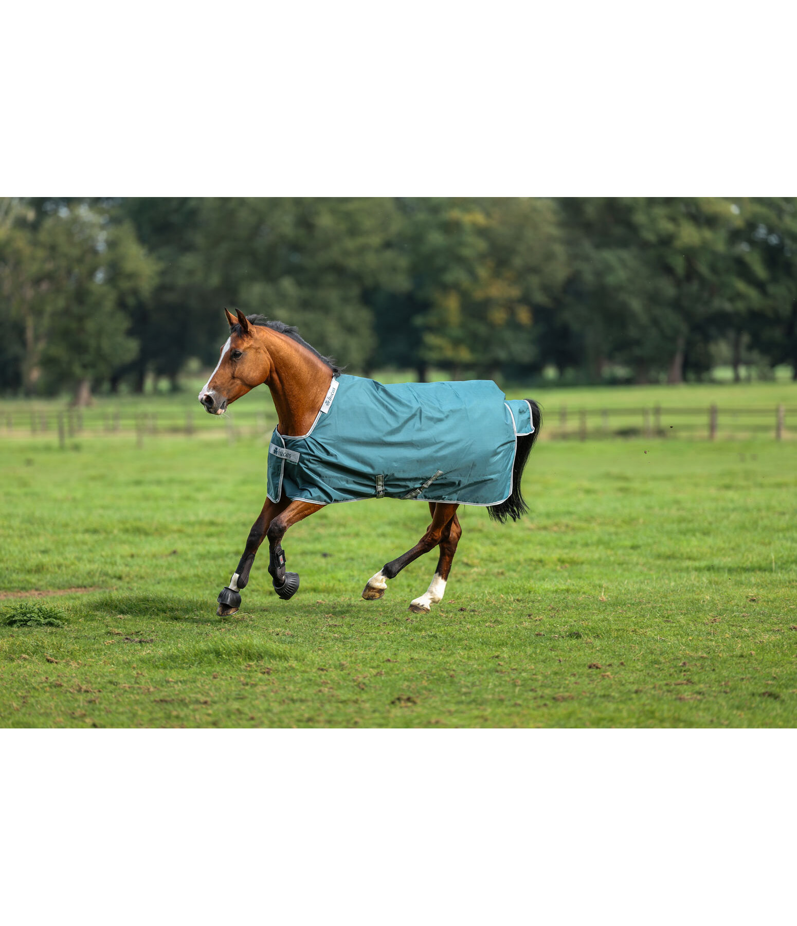 Coperta outdoor Atlantic Turnout 50 regularneck con Dermo-Care, 50 g