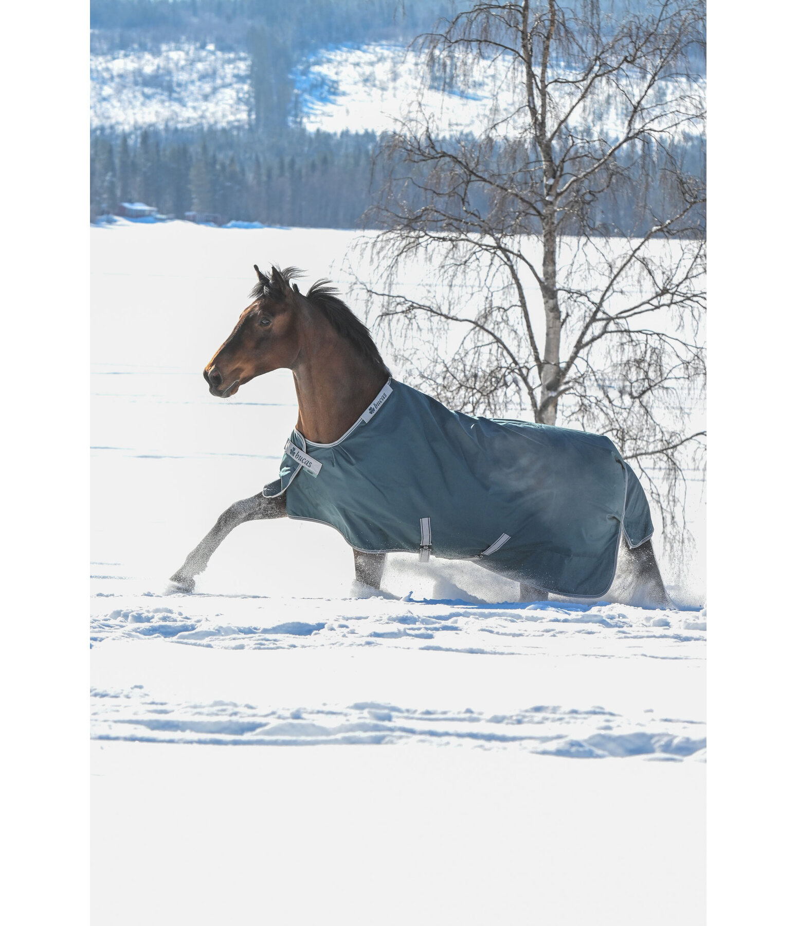 Coperta outdoor Atlantic Turnout 50 regularneck con Dermo-Care, 50 g