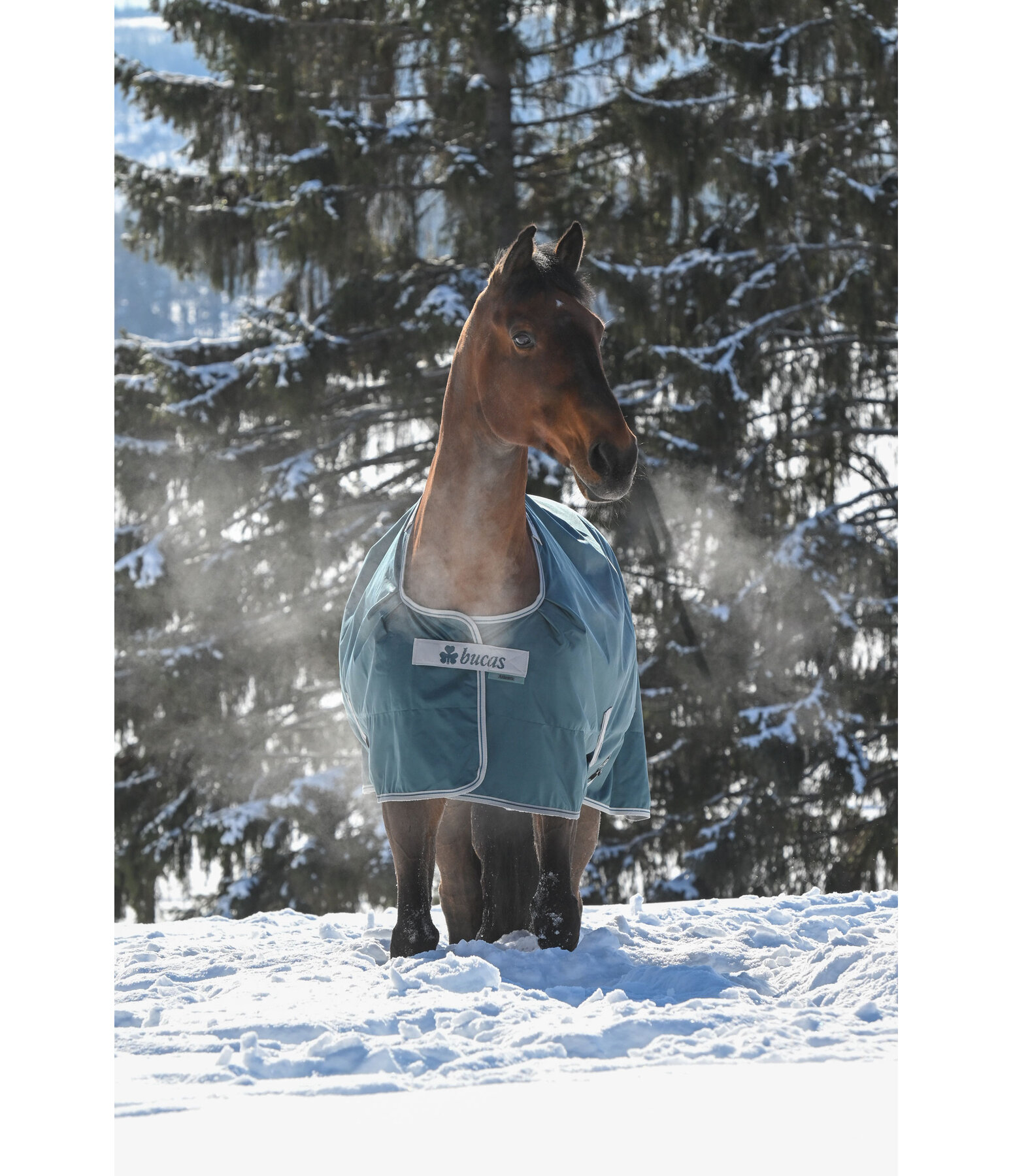 Coperta outdoor Atlantic Turnout 50 regularneck con Dermo-Care, 50 g