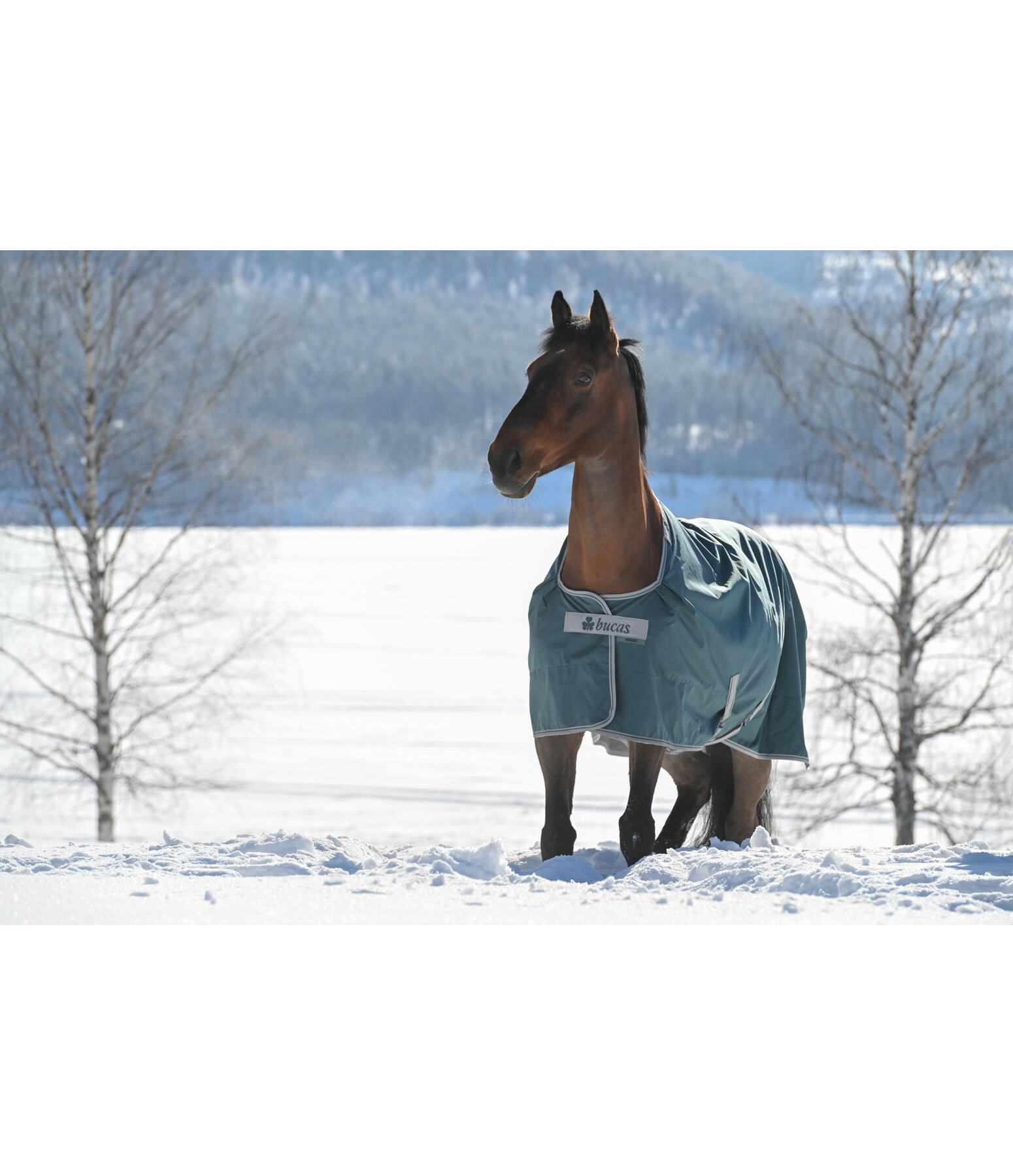 Coperta outdoor Atlantic Turnout 50 regularneck con Dermo-Care, 50 g
