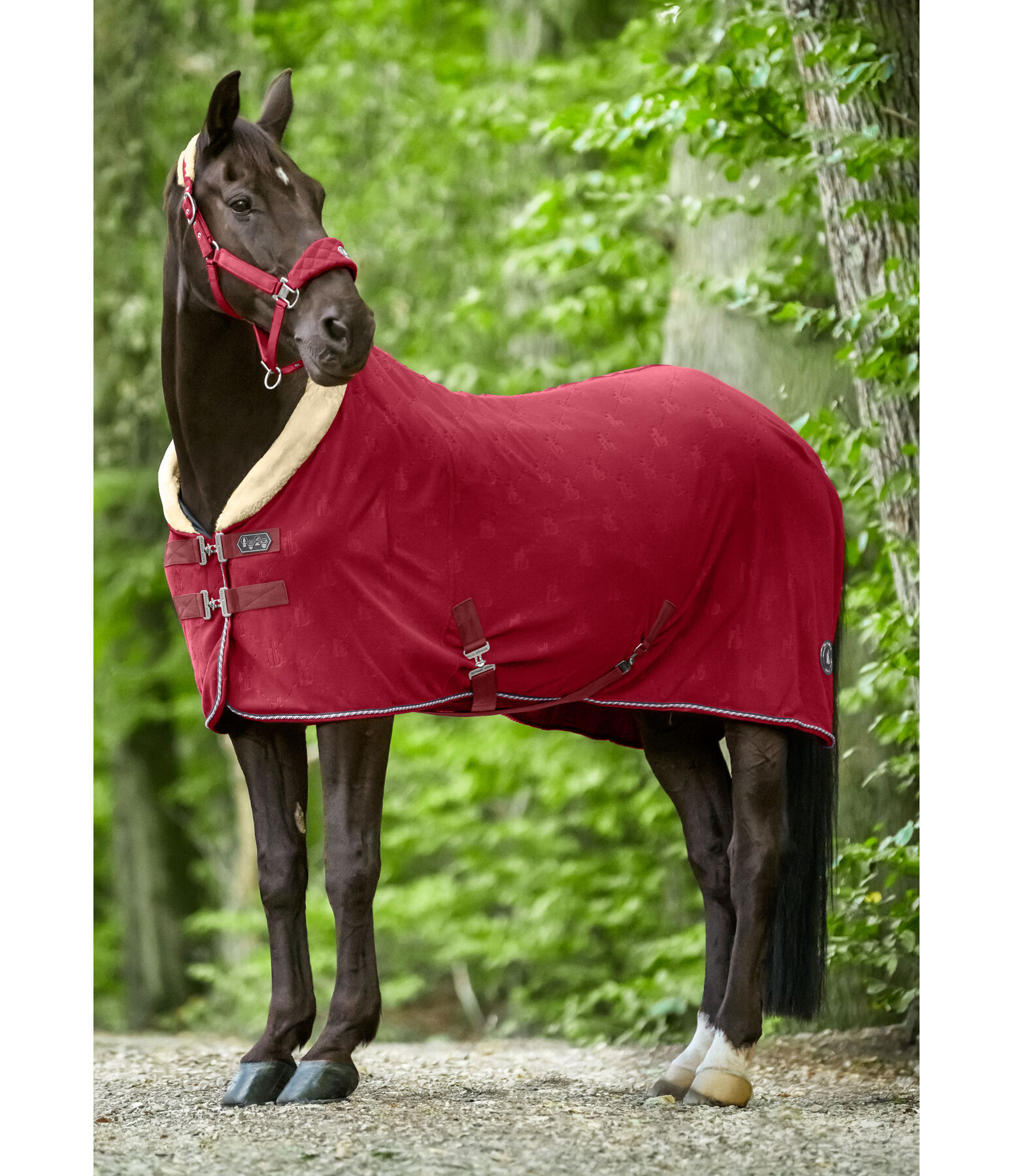 Coperta dopolavoro in pile Equestrian Sports