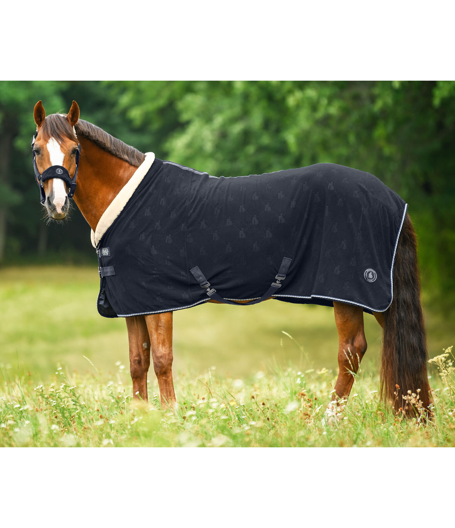 Coperta dopolavoro in pile Equestrian Sports