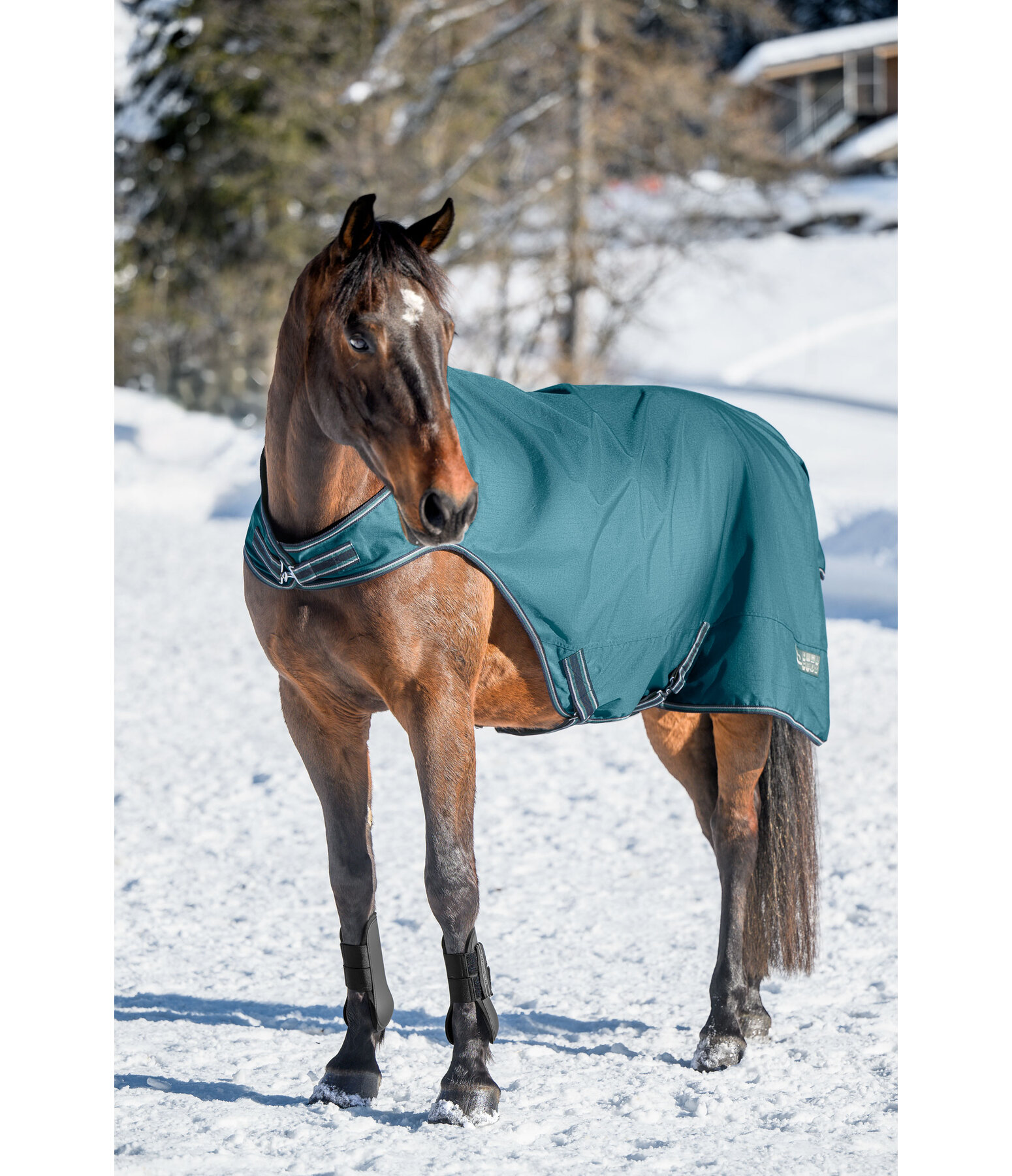 Coperta da giostra outdoor Kasimo II, 100 g