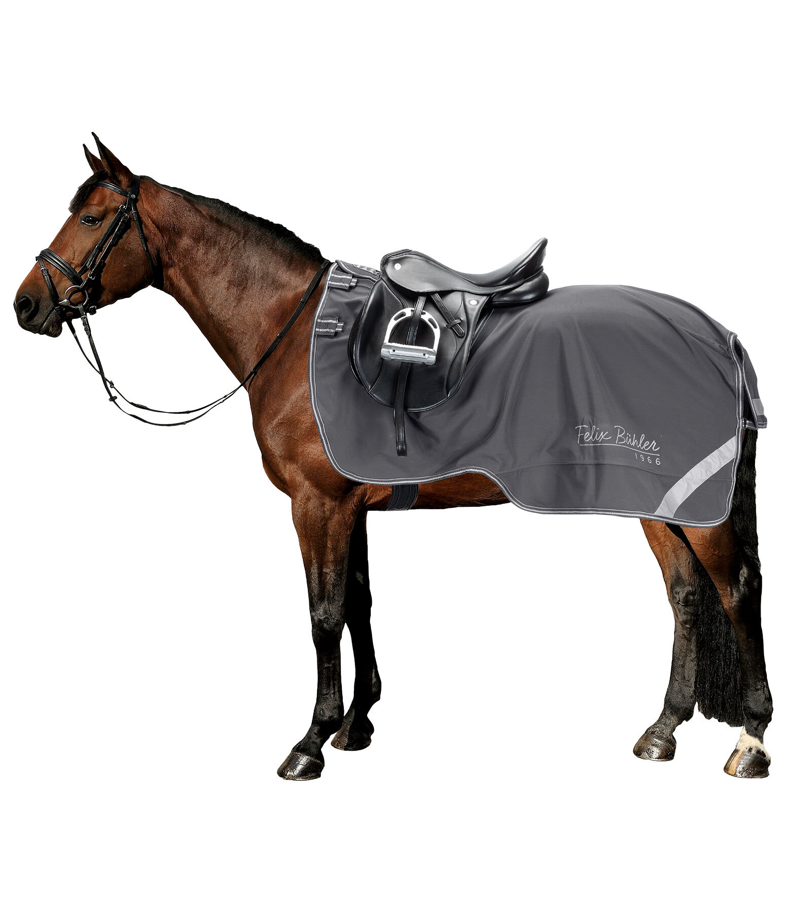 Coperta da passeggiata in softshell con collo rimovibile Alecto