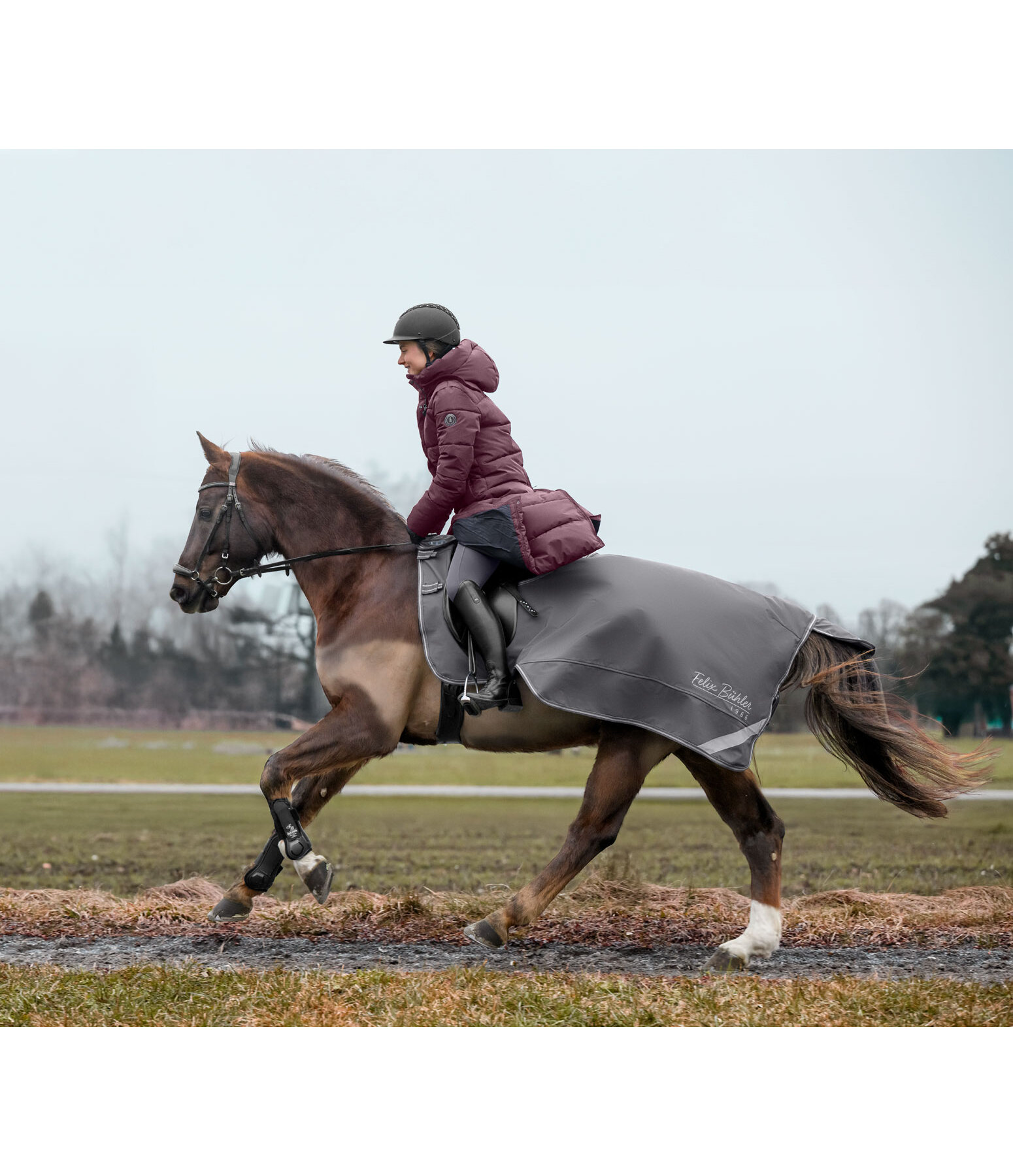 Coperta da passeggiata in softshell con collo rimovibile Alecto