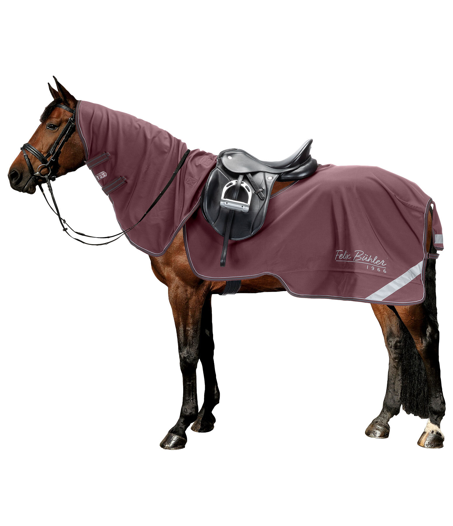 Coperta da passeggiata in softshell con collo rimovibile Alecto