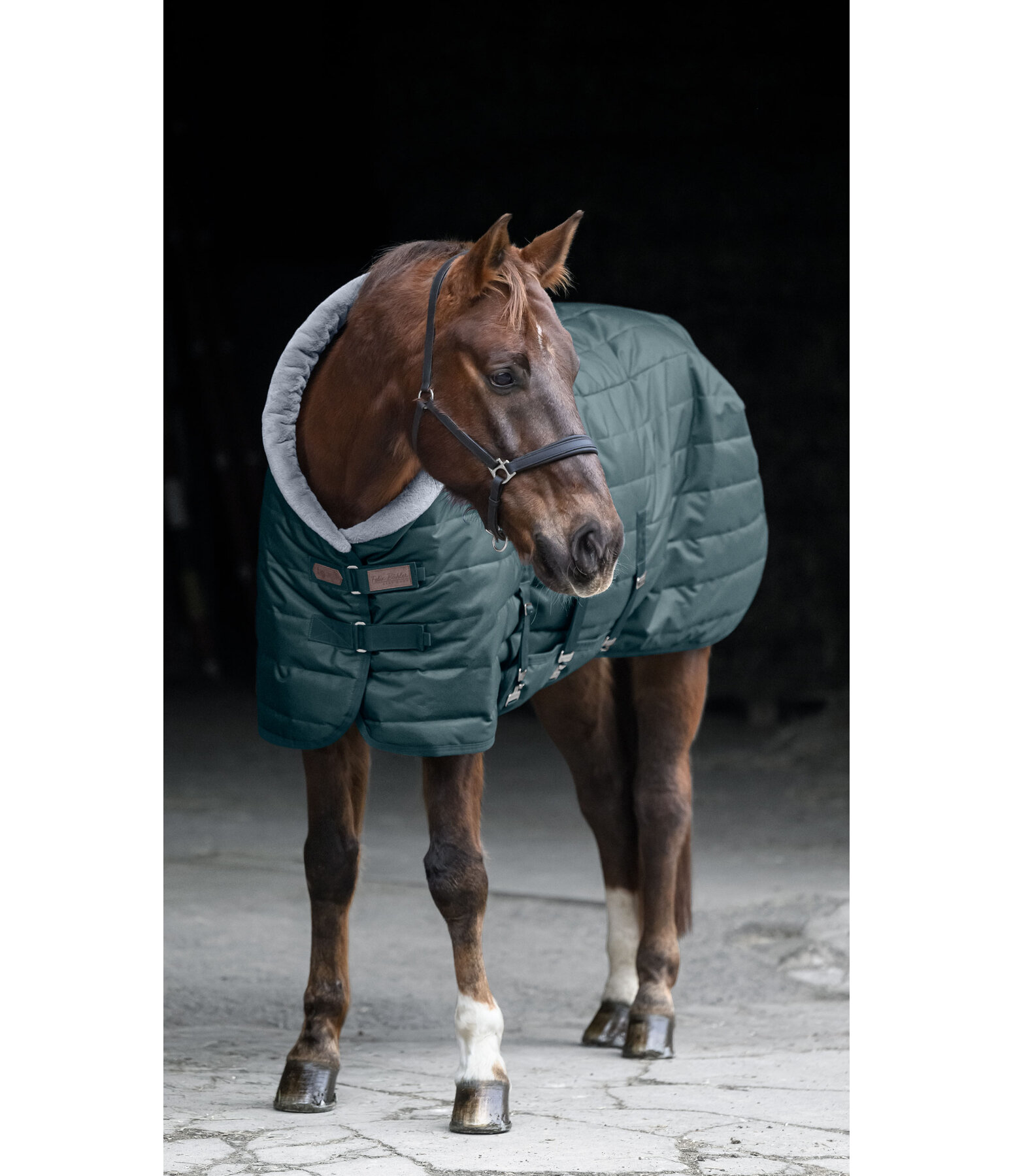 Coperta da box Stay Cozy