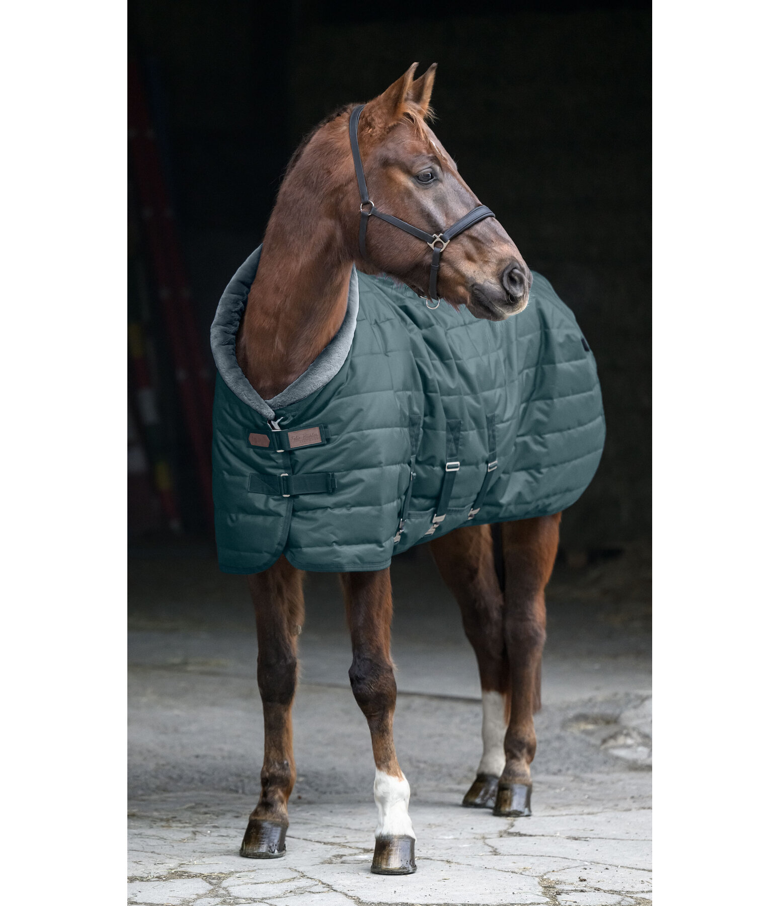 Coperta da box Stay Cozy