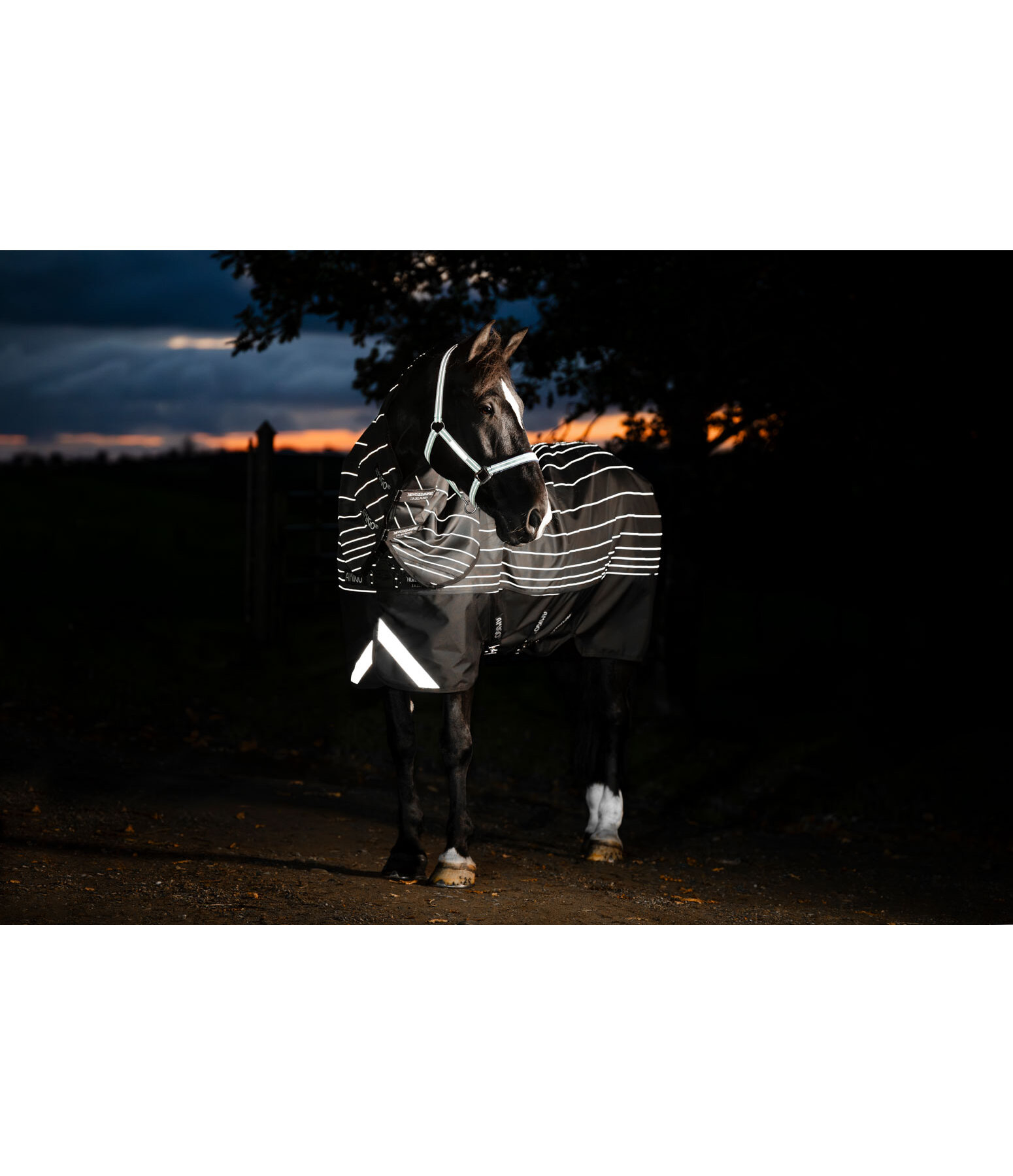 Amigo 1200D Field Safe Reflectech Plus Turnout, 100g
