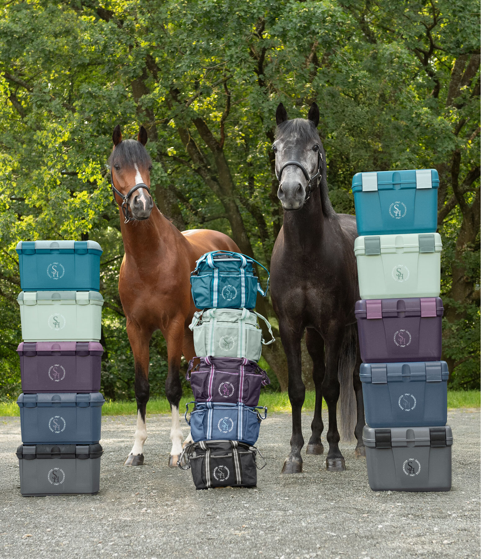 Borsa grooming Cambridge