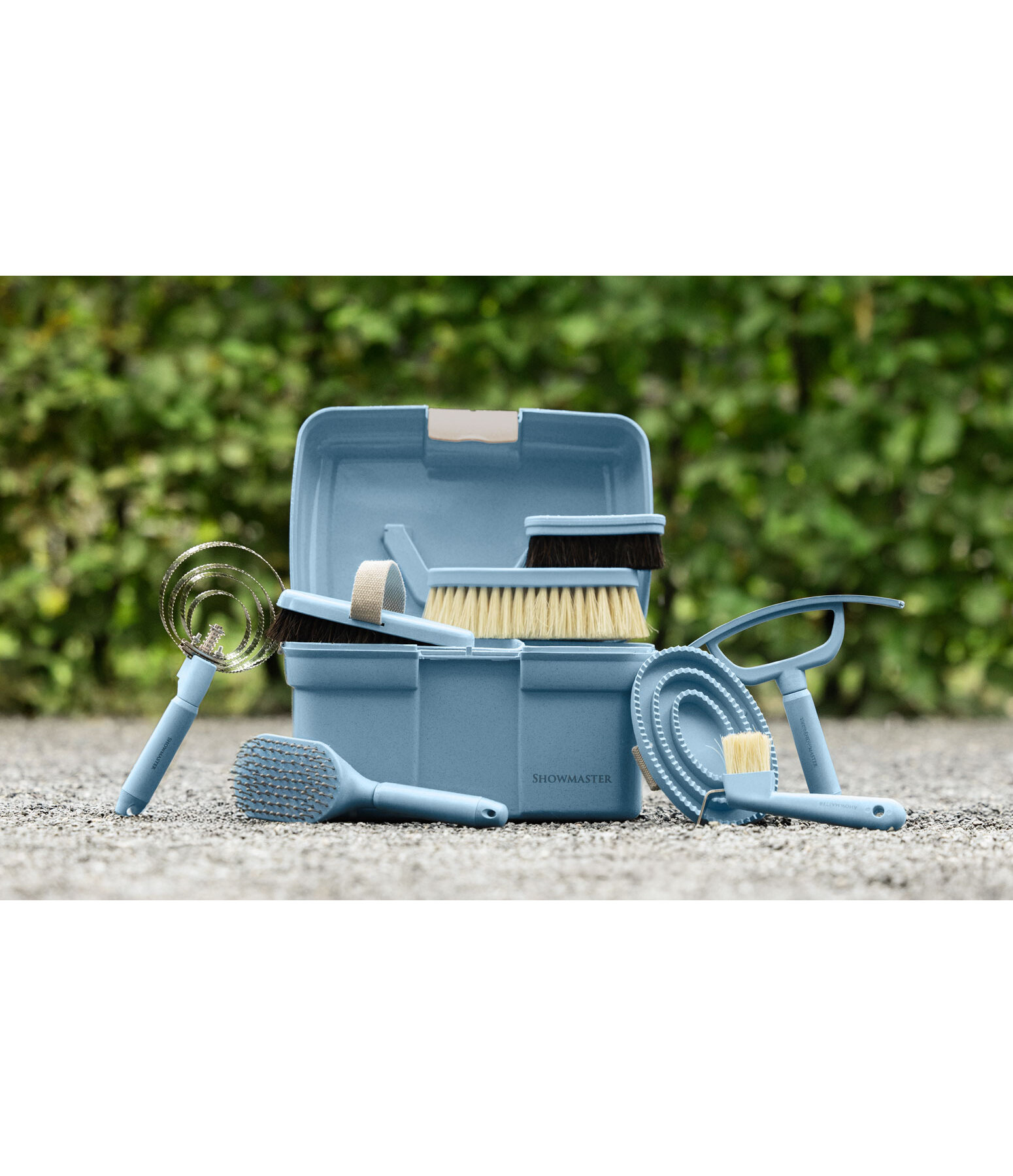 Bauletto Circle of Life