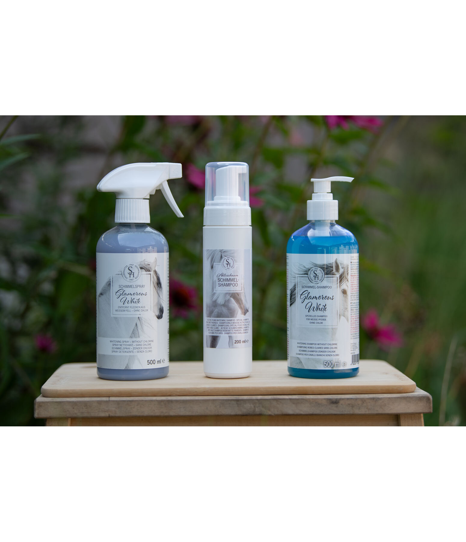 Shampoo schiuma per grigi
