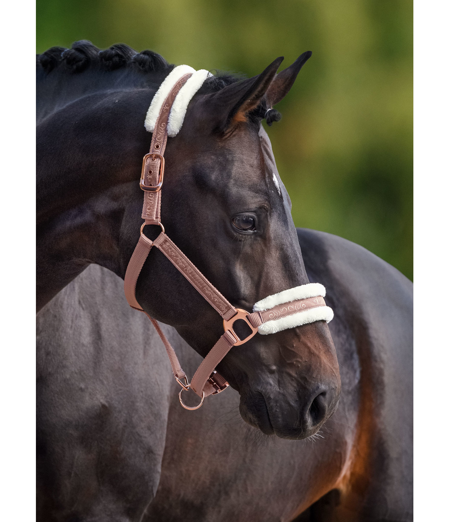 Capezza Metallic Love