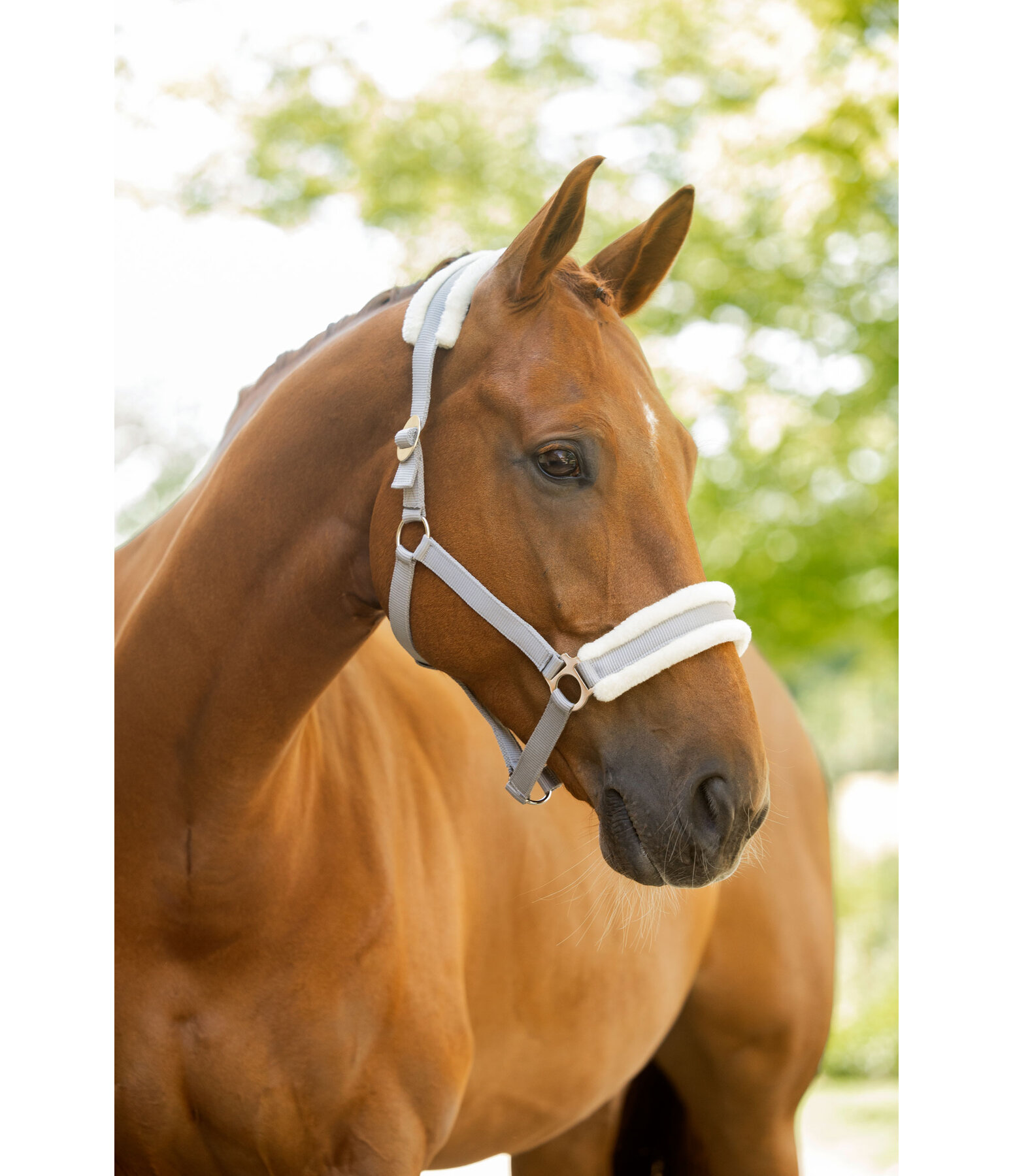 Capezza con pelliccia sintetica Super-Conveniente III