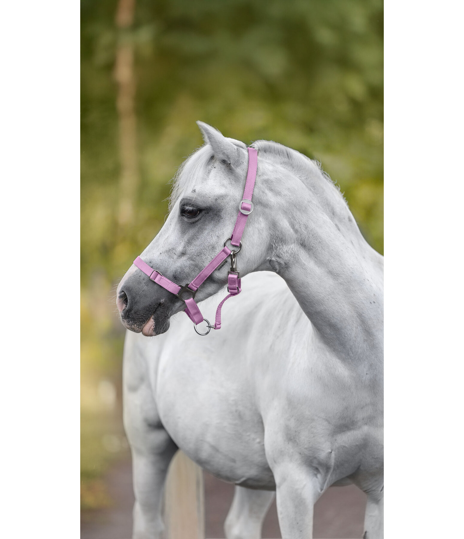 Capezza per puledri e Shetland Grow With You