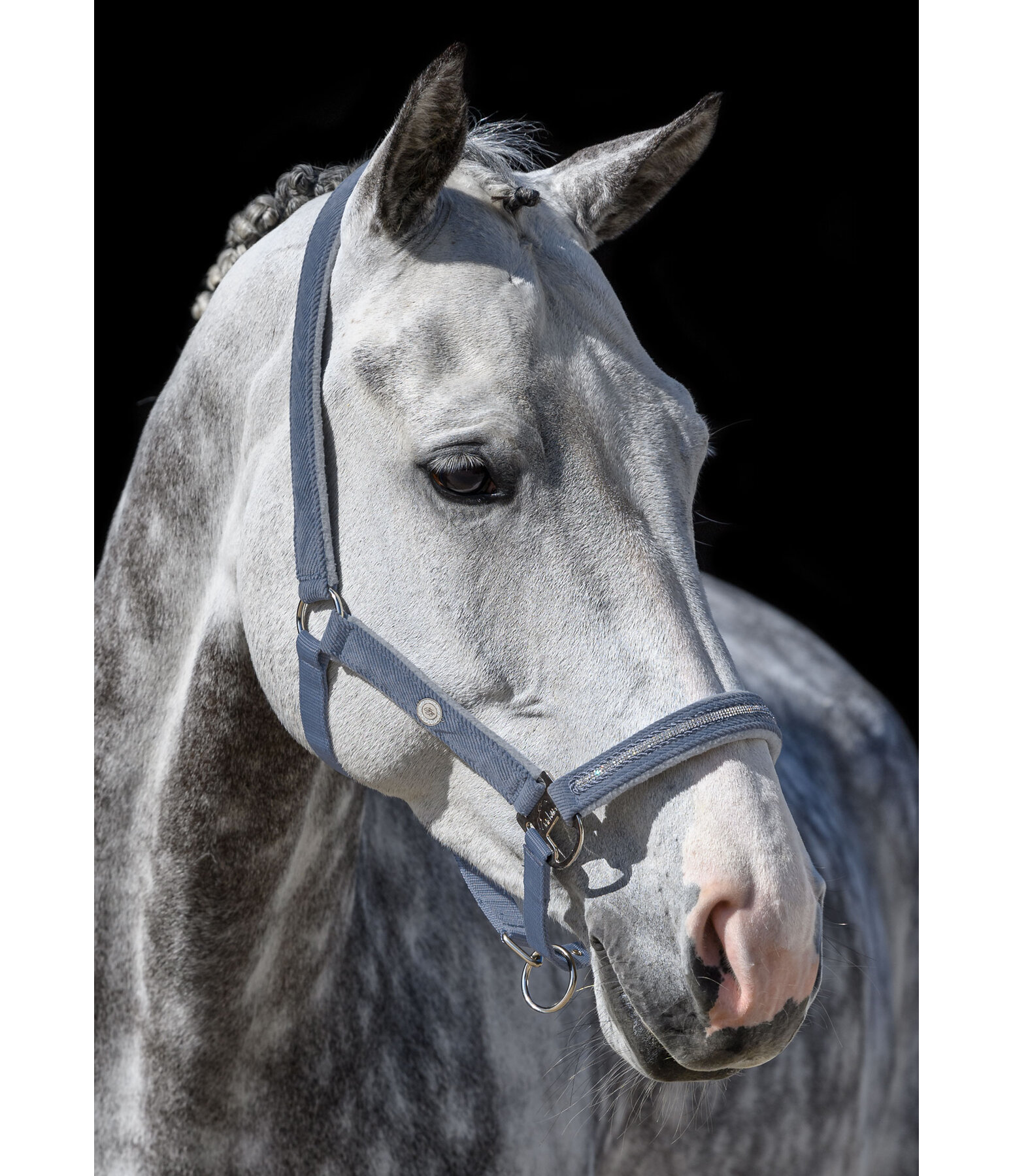 Capezza Cord & Glamour