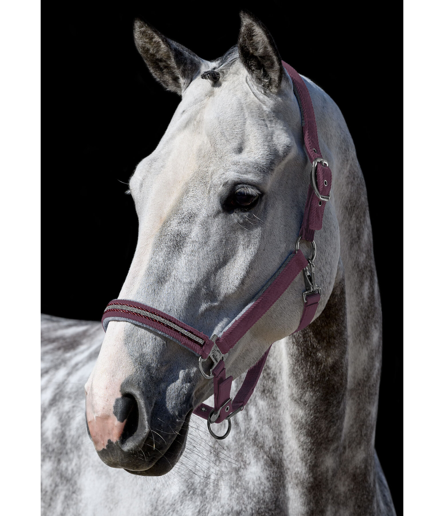 Capezza Cord & Glamour