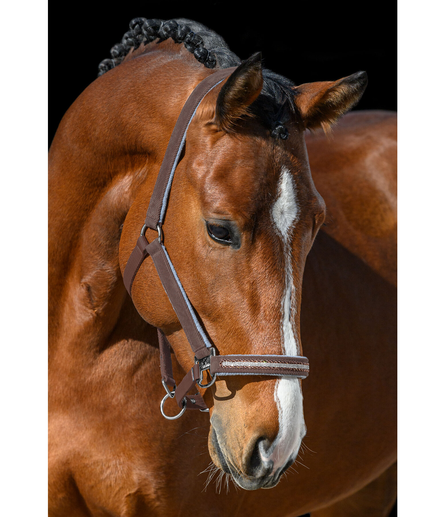 Capezza Cord & Glamour