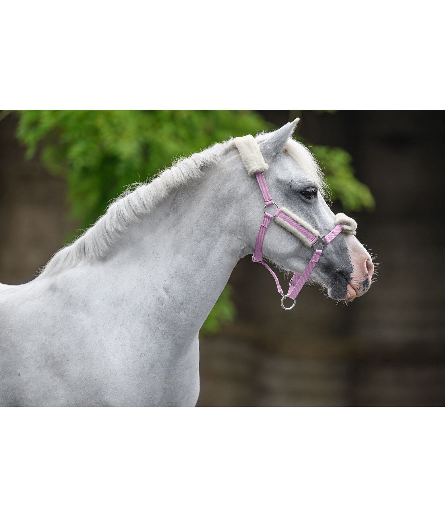 Capezza con pelliccia sintetica per puledri e Shetland Cosy Adjustable