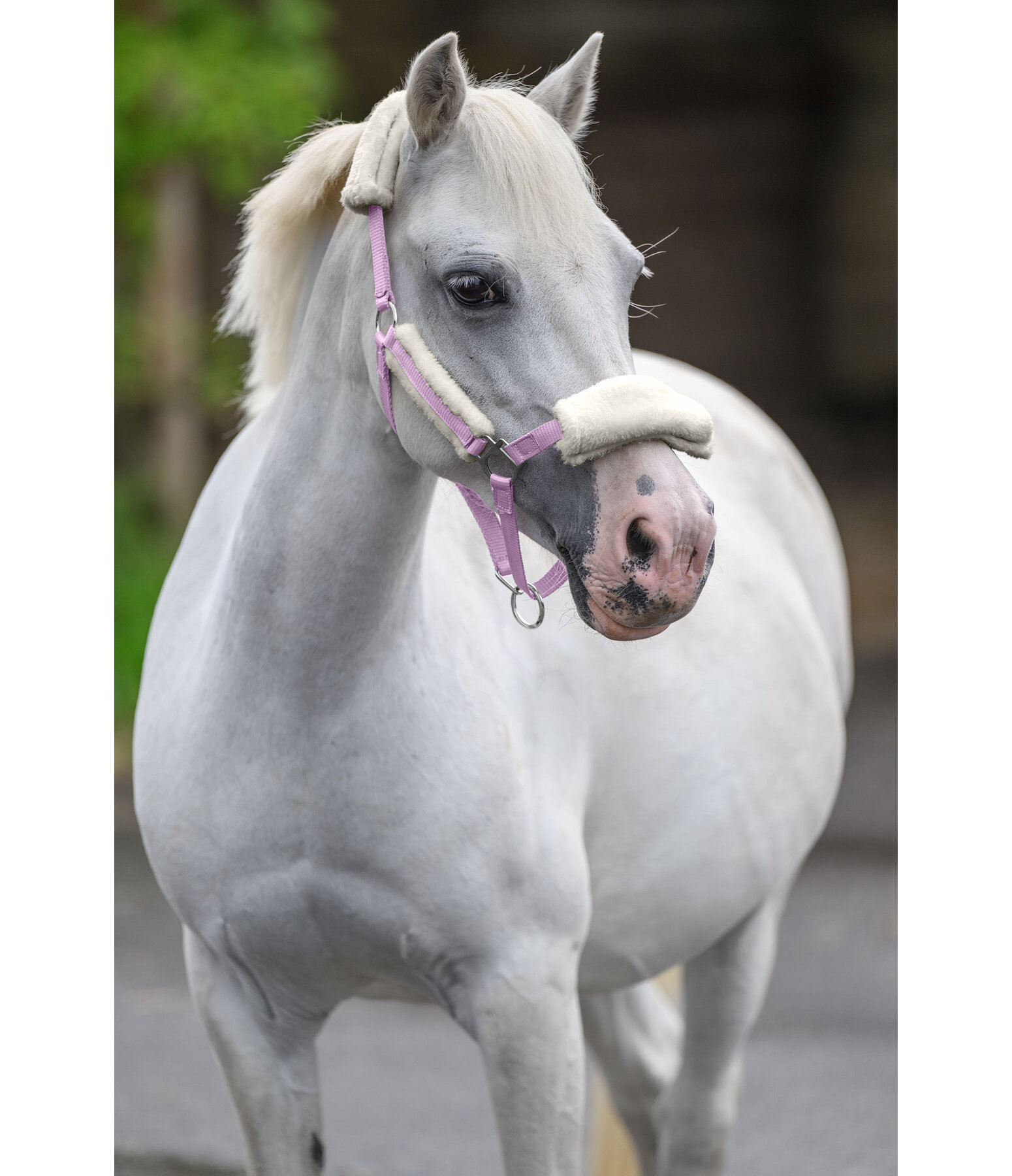 Capezza con pelliccia sintetica per puledri e Shetland Cosy Adjustable