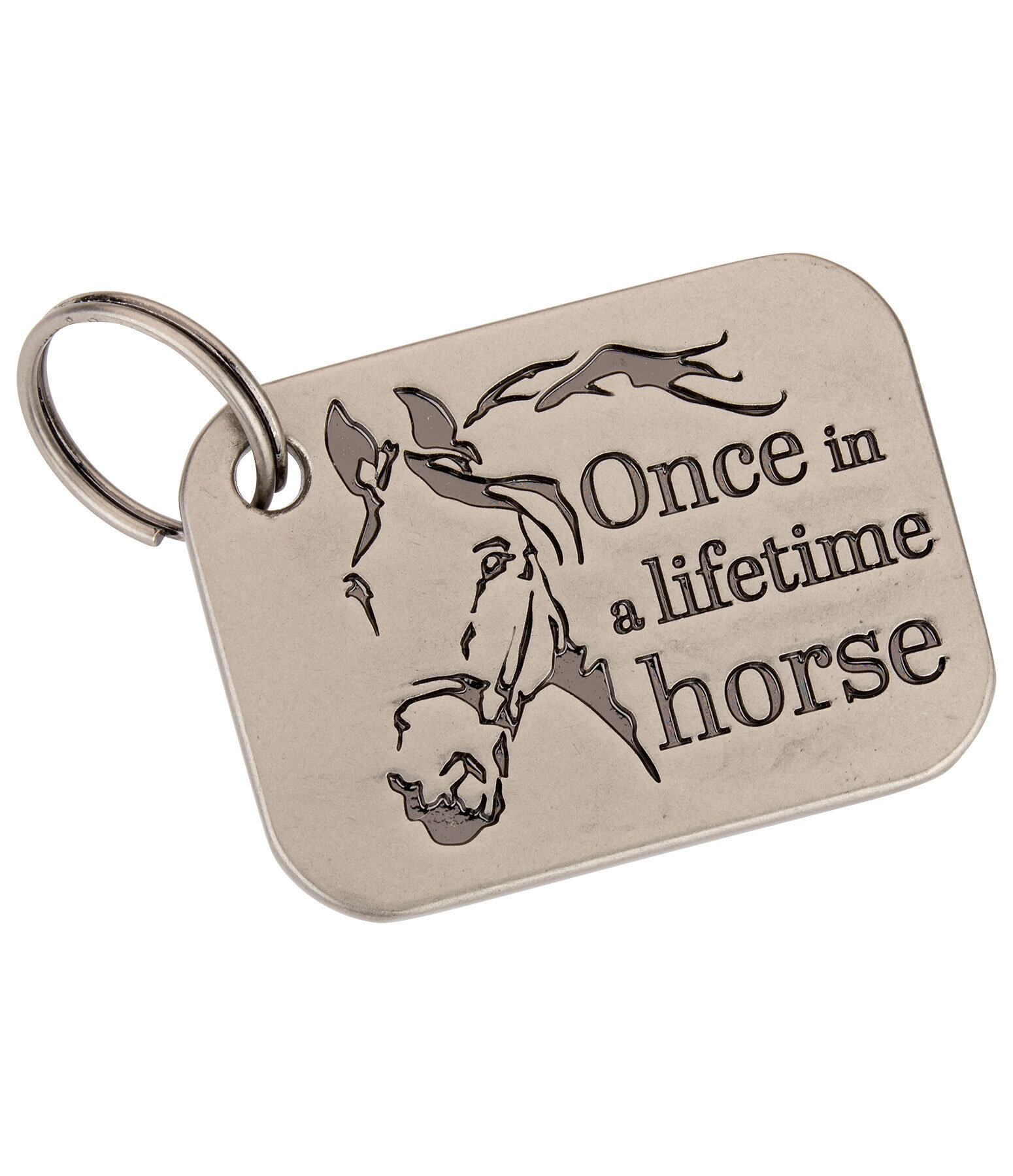 Charm once in a lifetime horse