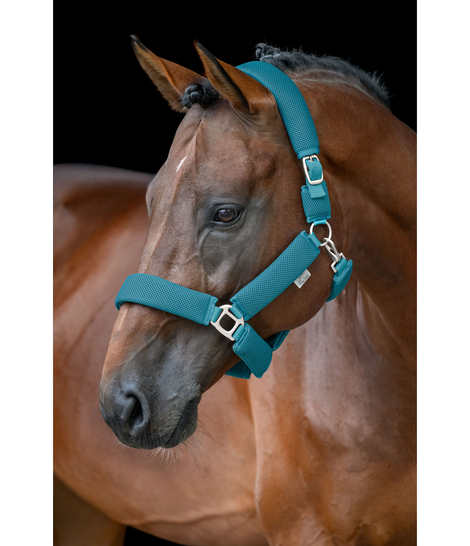 Capezza Mesh Airflow