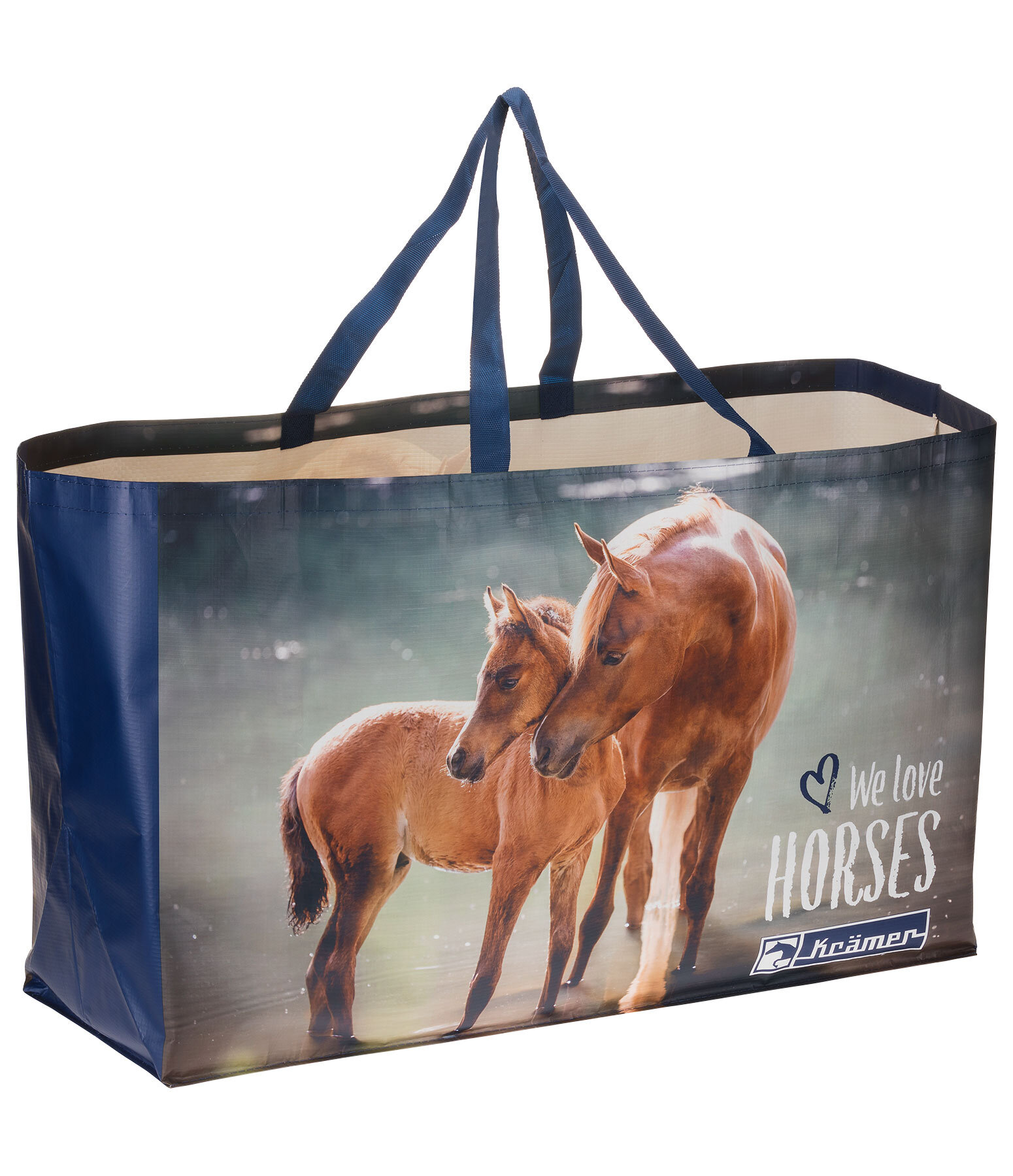 Borsa grande
