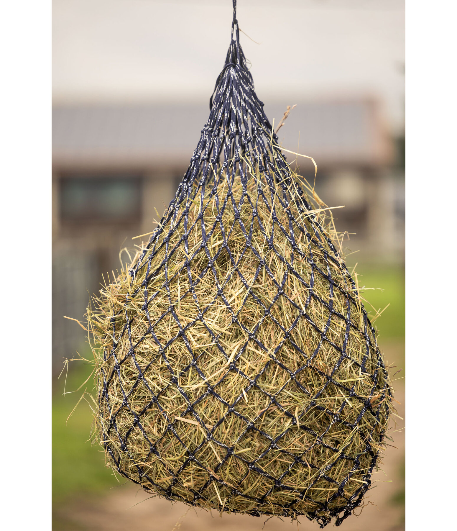 Rete per fieno Glitter, larghezza maglia 5 x 5 cm, capacit� 6 kg