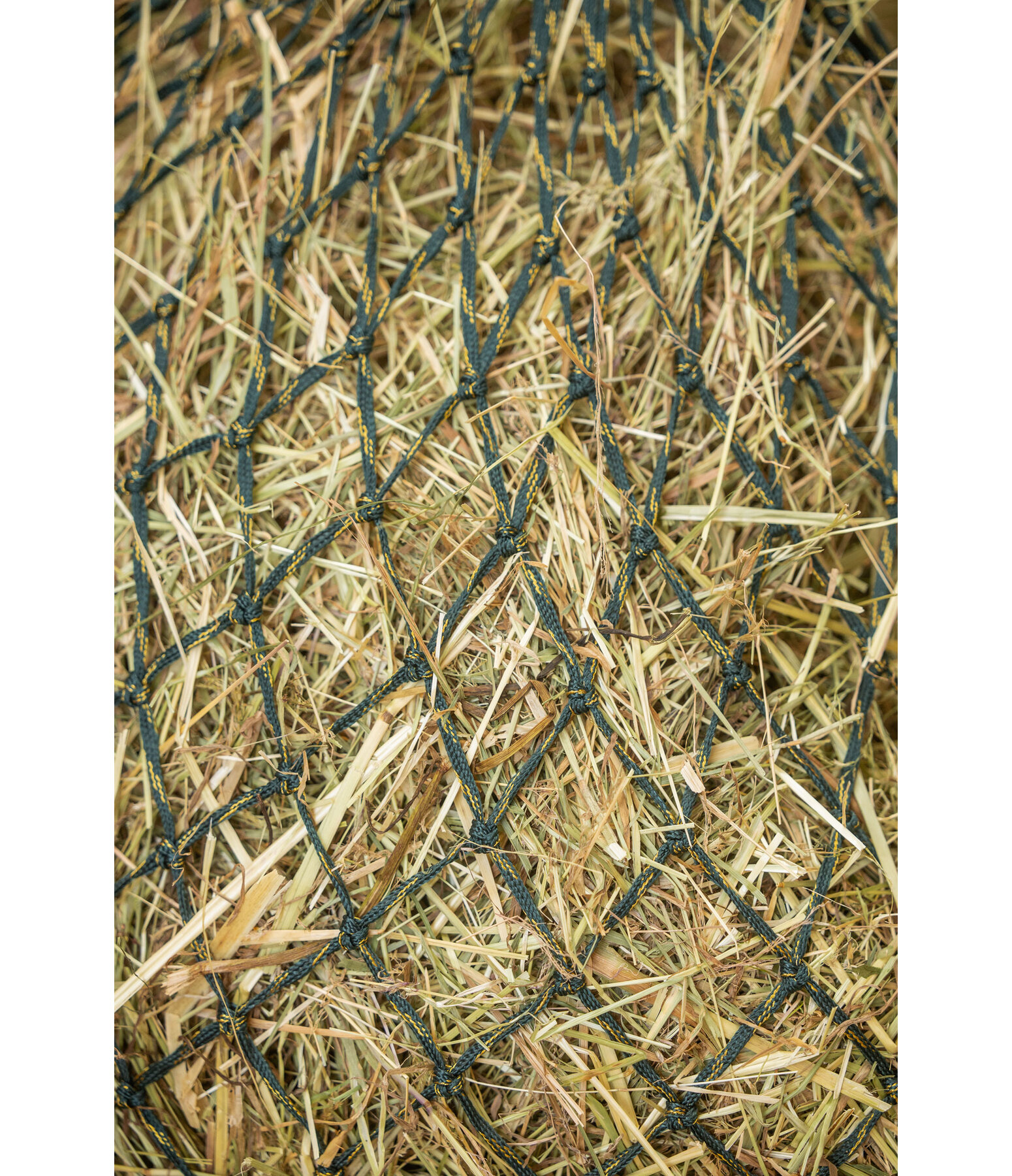 Rete per fieno Glitter, larghezza maglia 5 x 5 cm, capacit� 6 kg