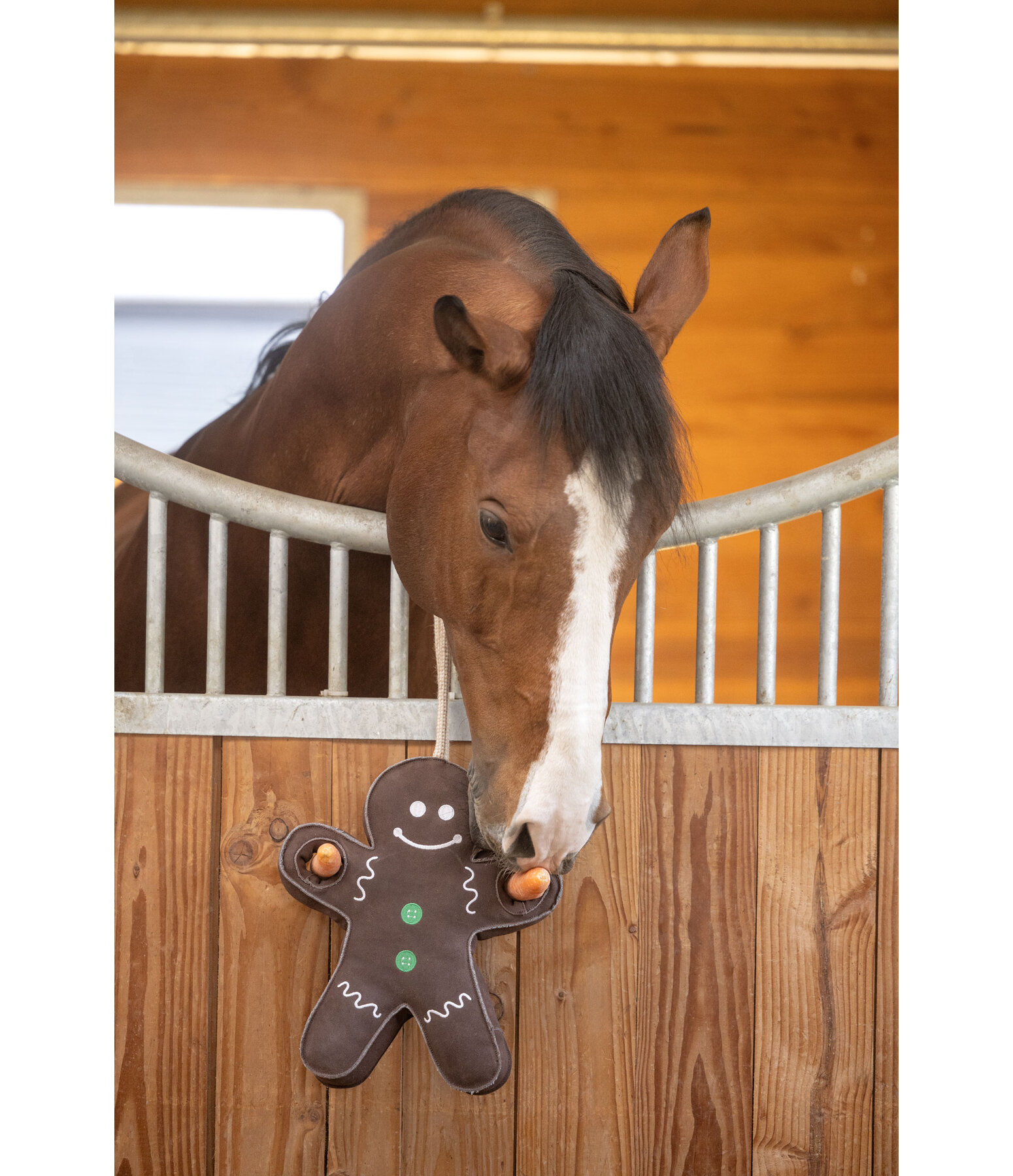 Giocattolo per cavalli Gingerbread Man